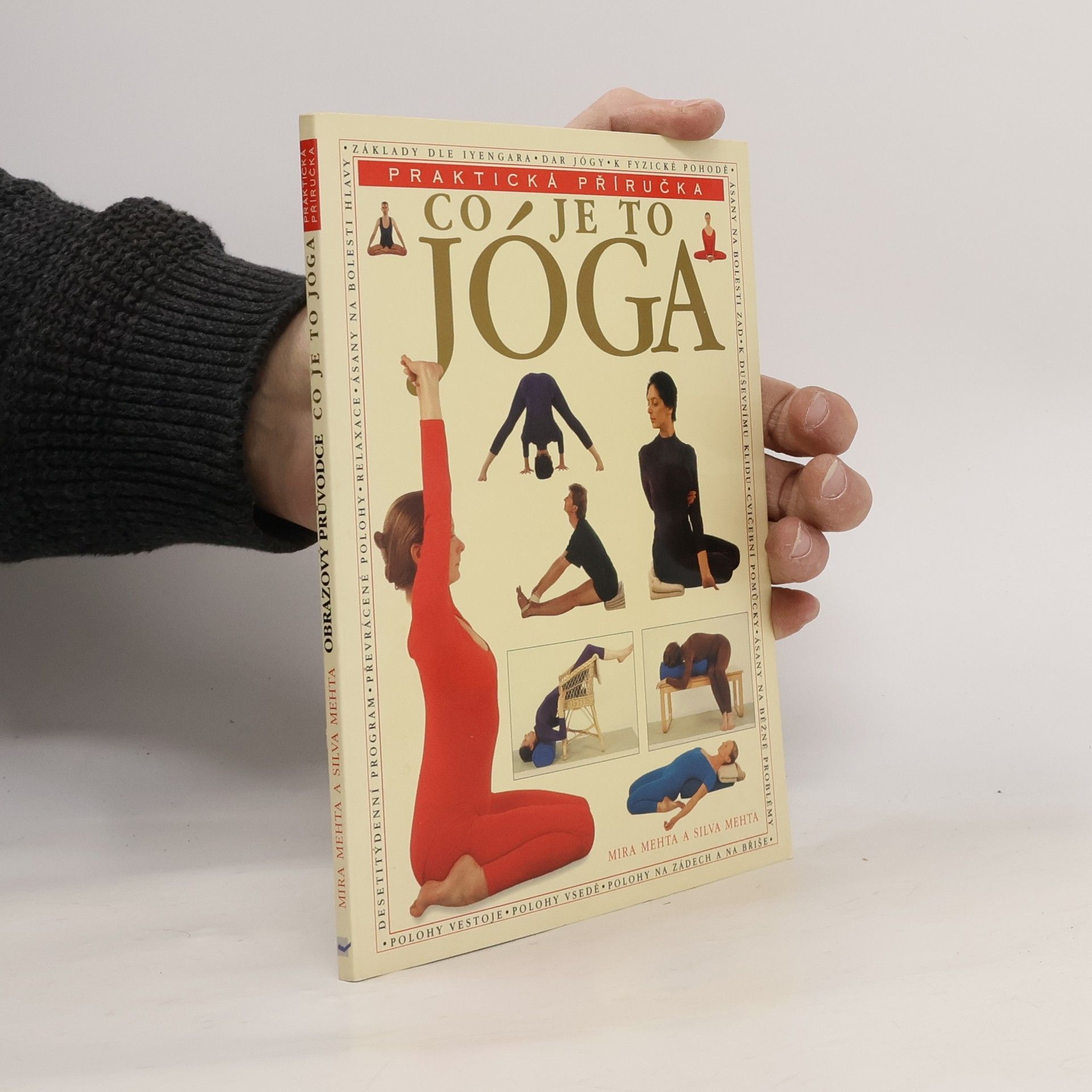 Mehta Mira Co je to jóga. Praktická příručka