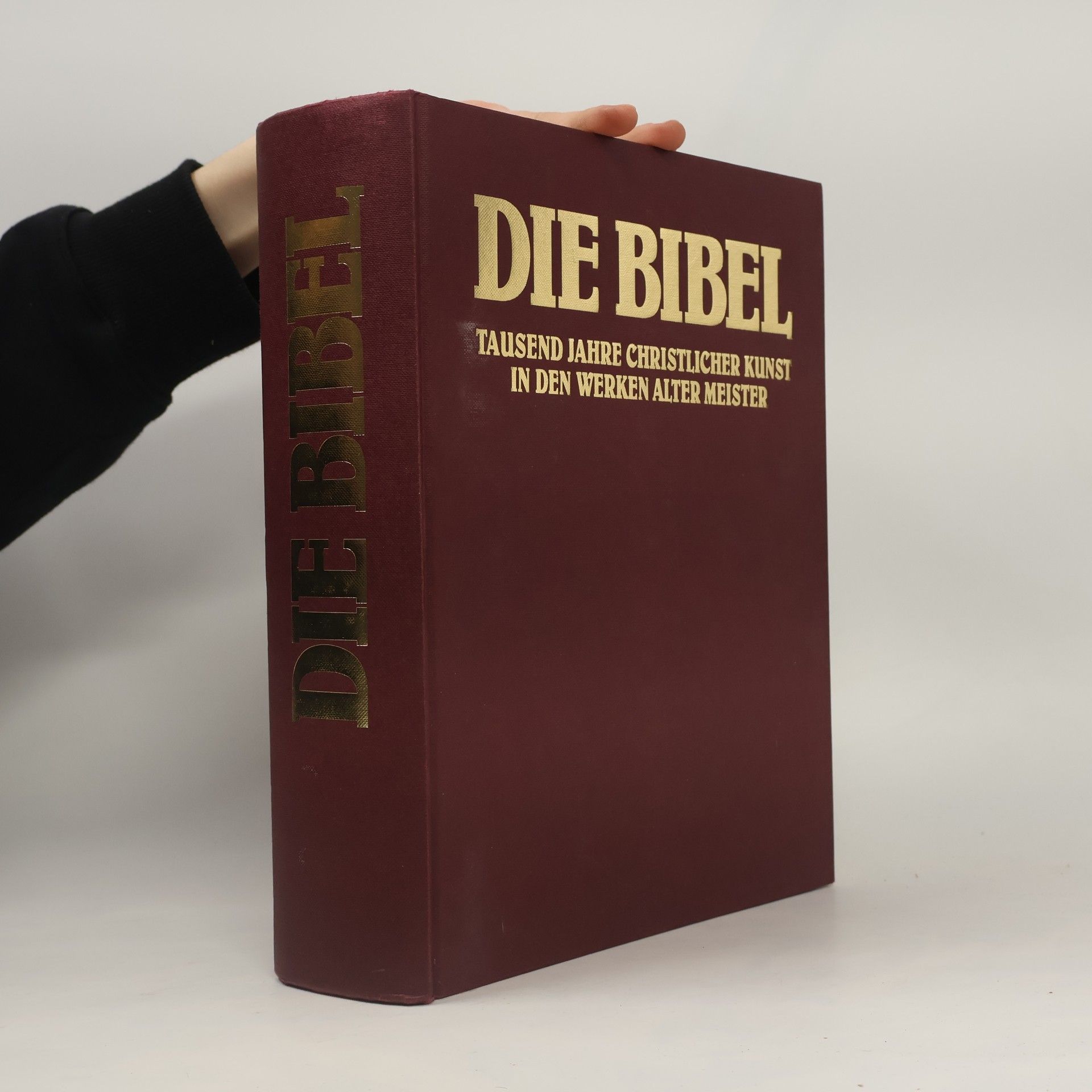 Autorenkollektiv Die Bibel : Tausend Jahre christlicher Kunst in den Werken alter Meister