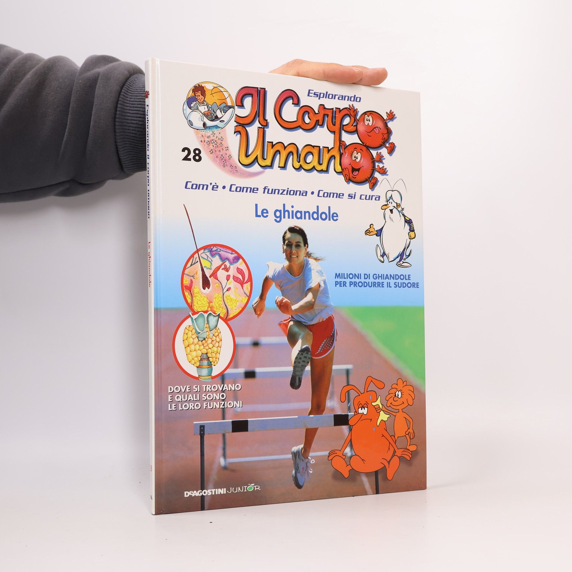 AA.VV. Esplorando il Corpo Umano 28