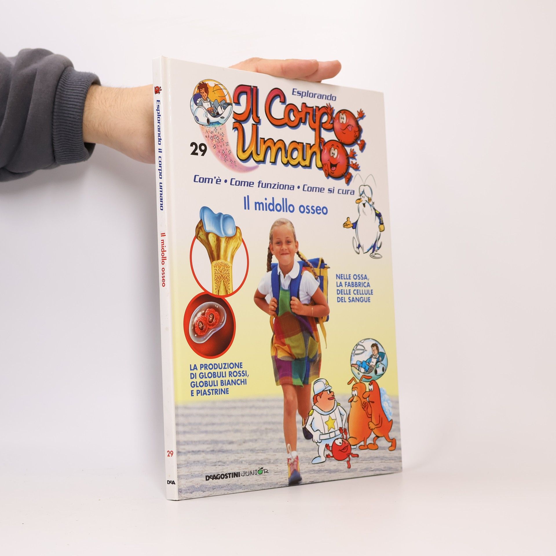 Collectif d'auteurs Esplorando Il Corpo Umano 29. Il midollo osseo