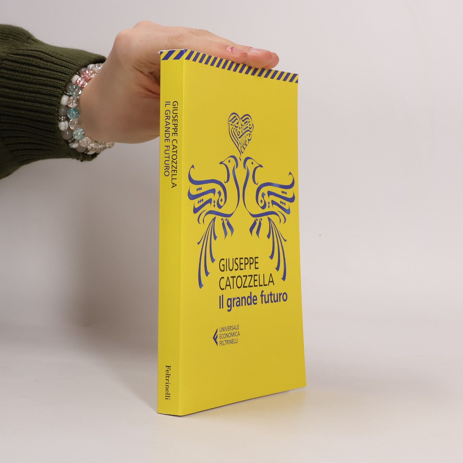 Giuseppe Catozzella Il grande futuro