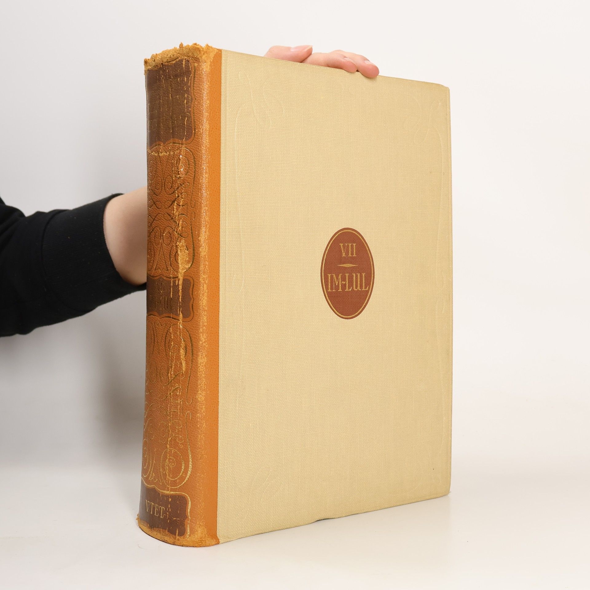 Grande dizionario enciclopedico VII