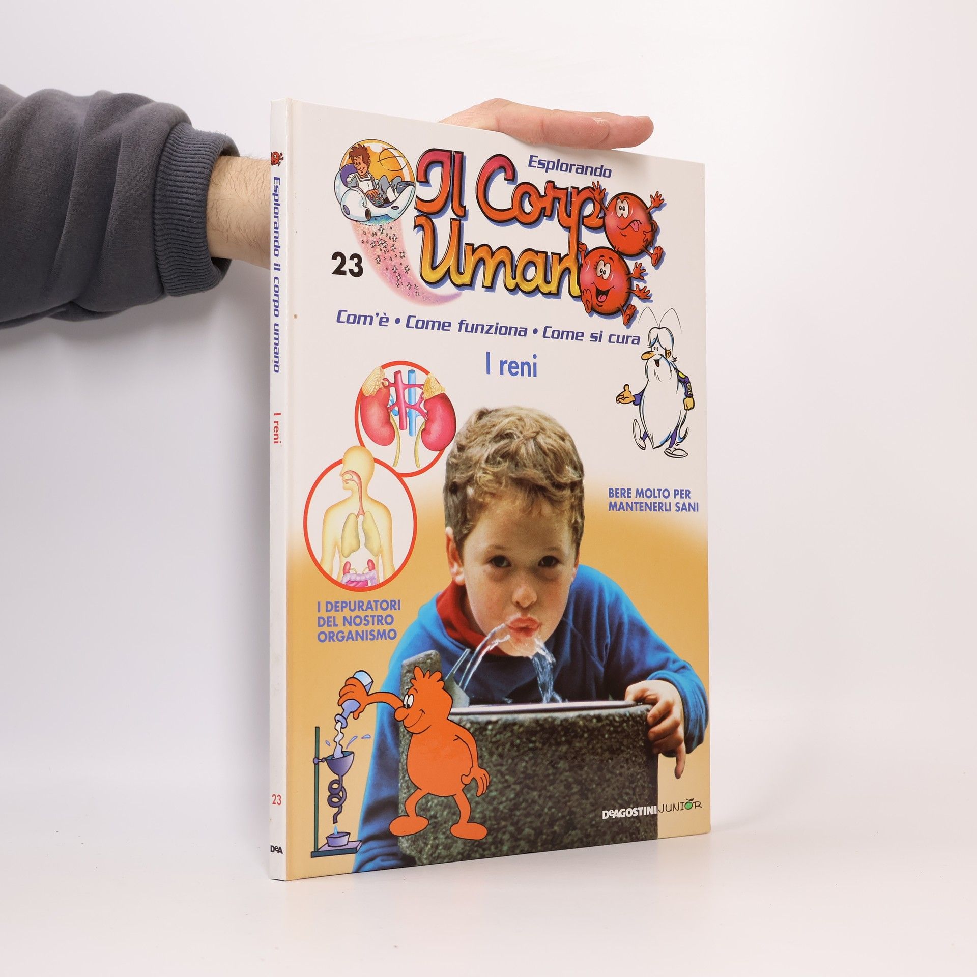 Autorenkollektiv Esplorando il Corpo Umano 23. I reni