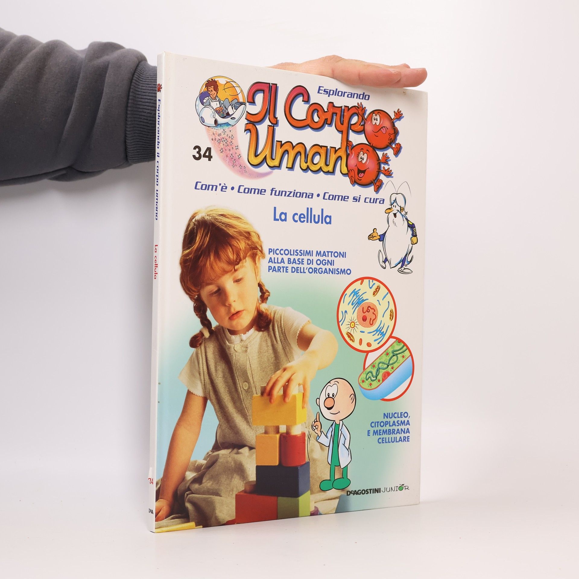 Autorenkollektiv Esplorando Il Corpo Umano 34