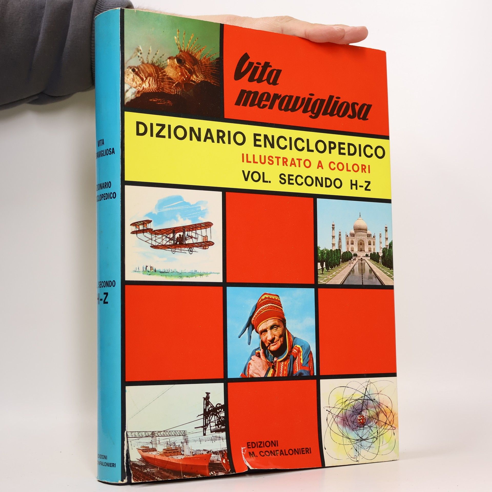 Autorenkollektiv Vita meravigliosa - Dizionario Enciclopedico Illustrato a Colori