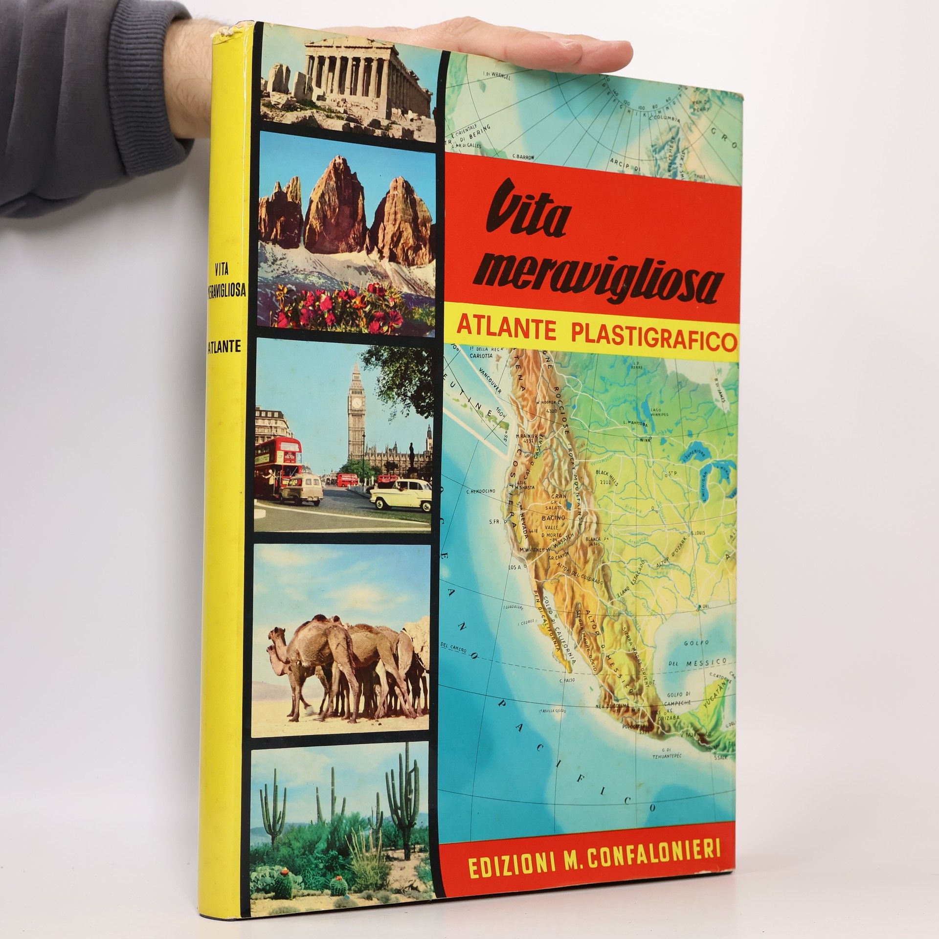 Auteurscollectief Vita meravigliosa: Atlante plastigrafico