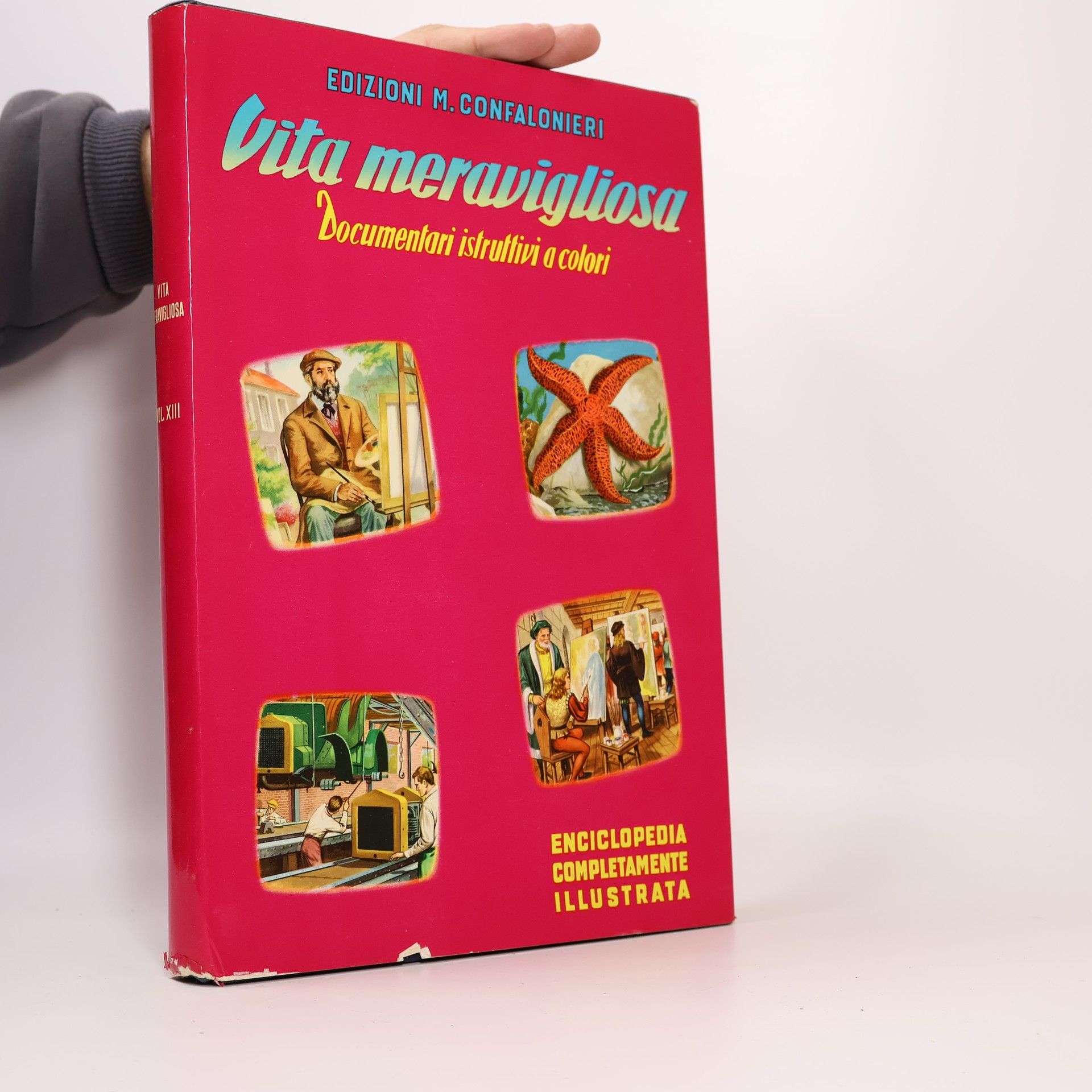 Autorenkollektiv Vita meravigliosa XIII