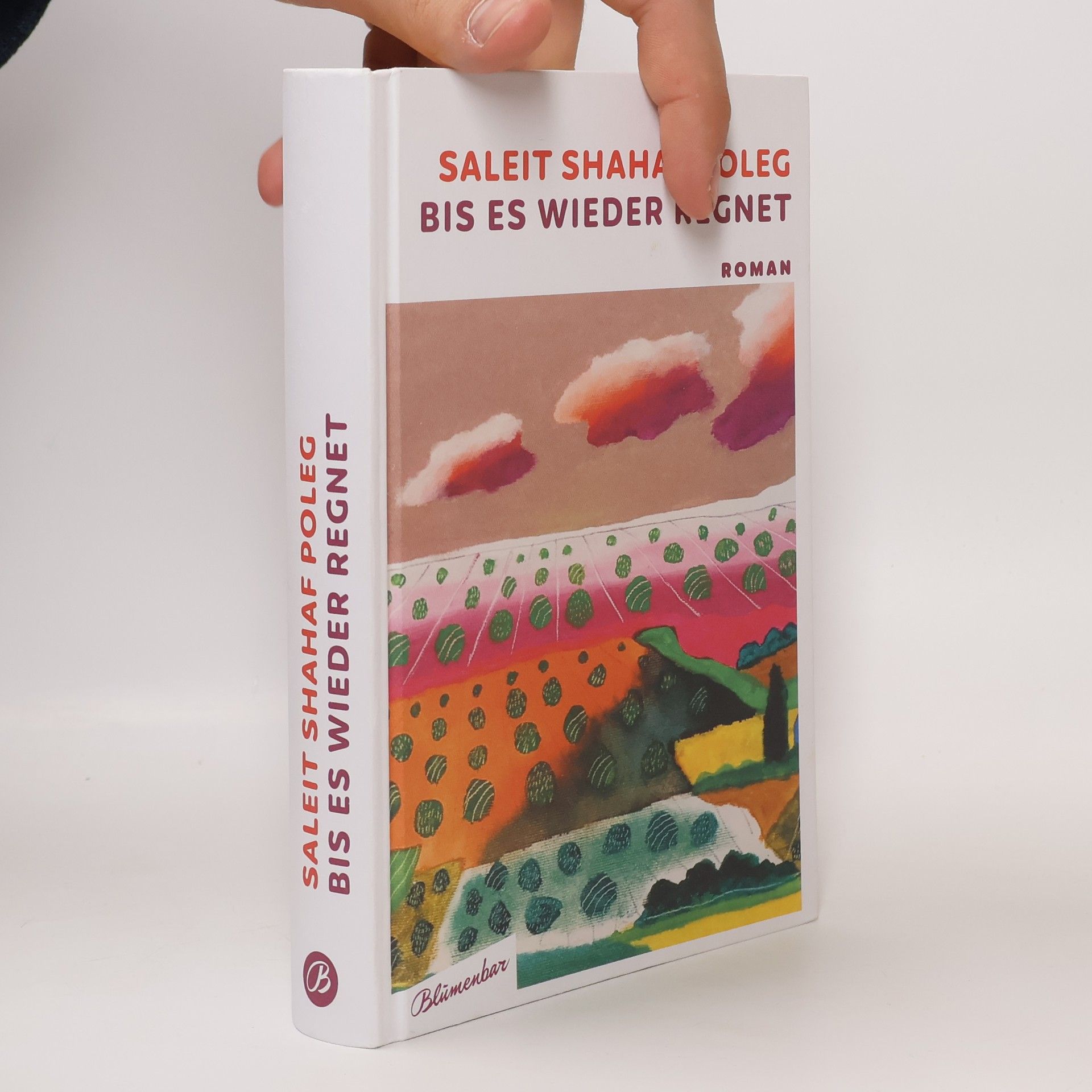 Saleit Shahaf Poleg Bis es wieder regnet