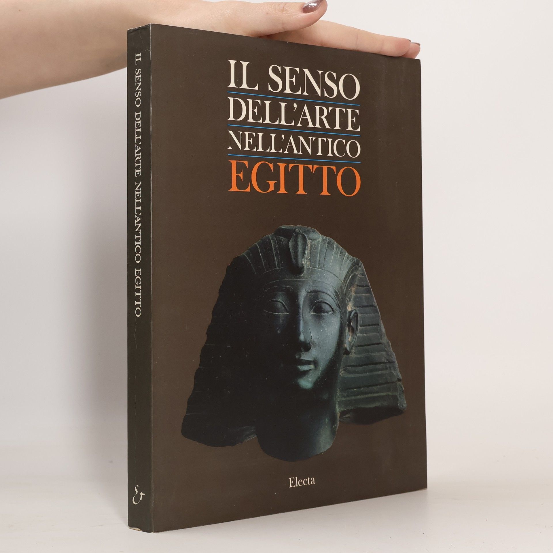 Daniela Ferrari cataloghi di mostre: Il senso dell'arte nell'antico Egitto. Ediz. illustrata