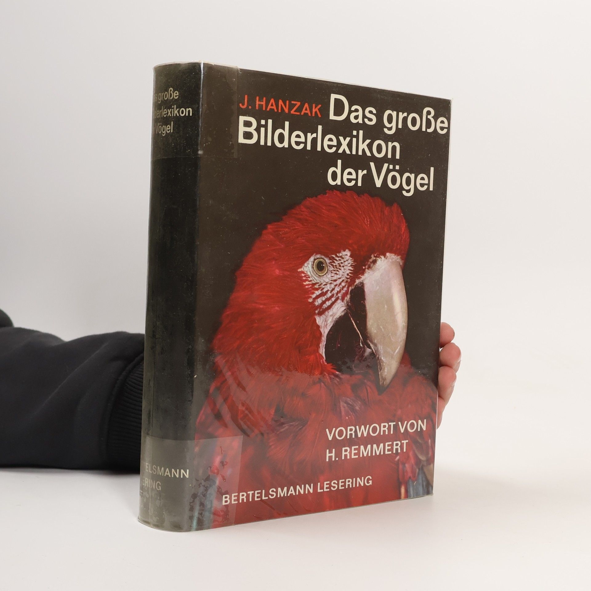 Das große Bilderlexikon der Vögel