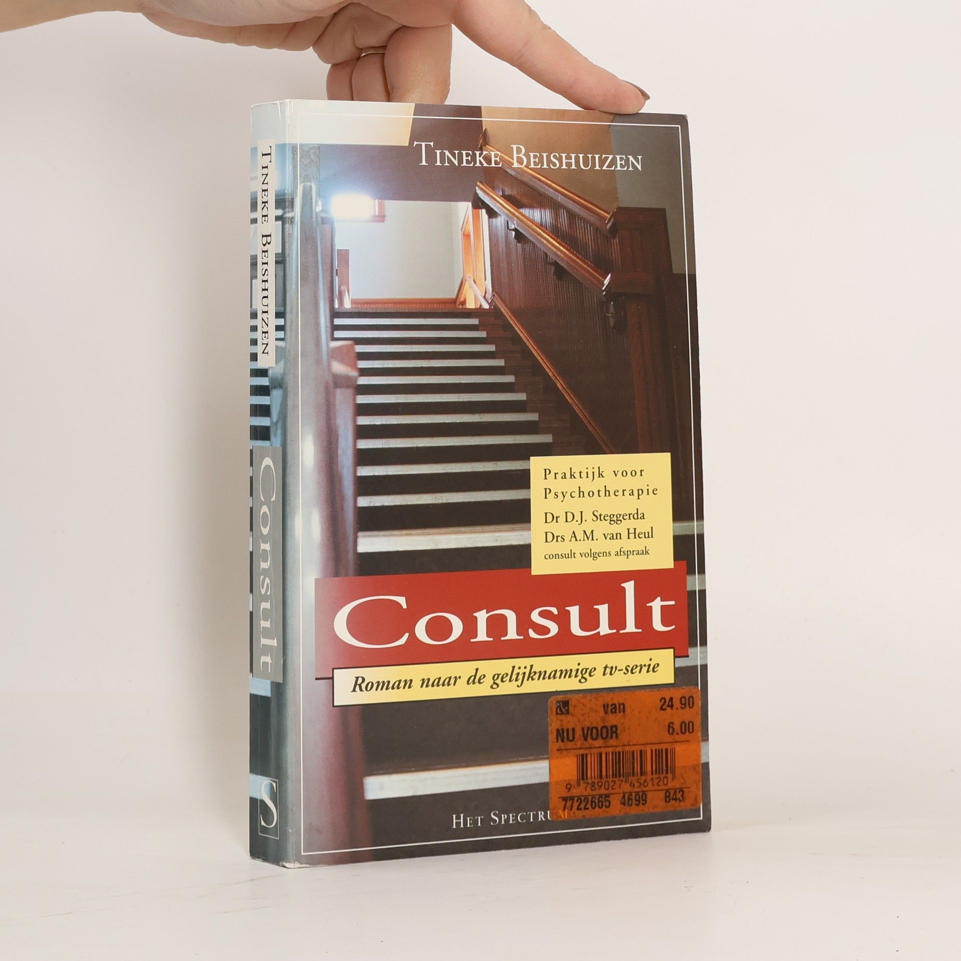 Tineke Beishuizen Consult