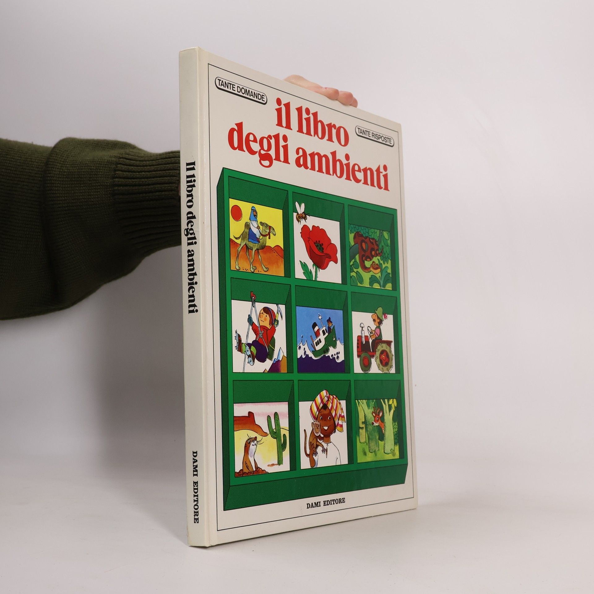 Giuseppe Zanini Il libro degli ambienti