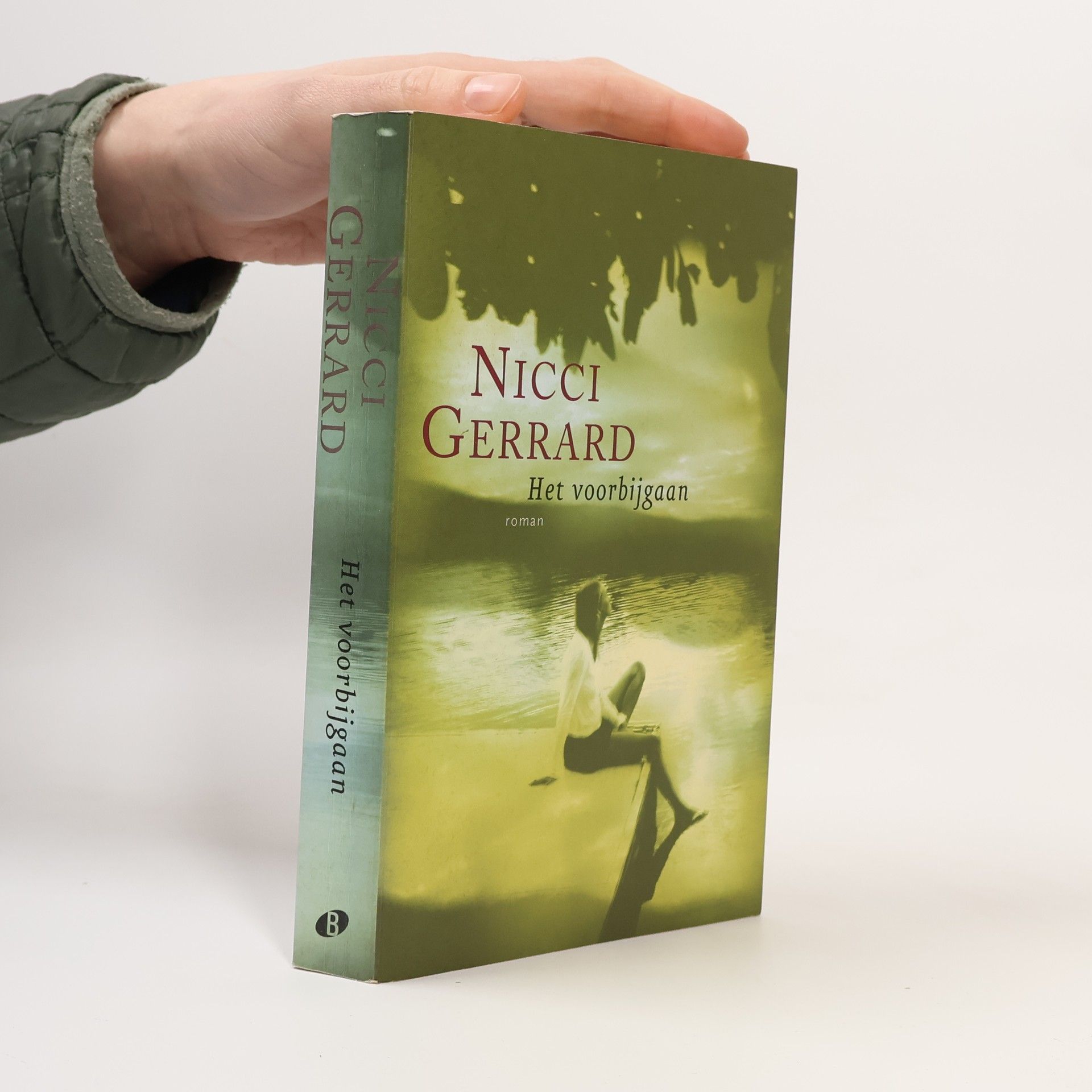 Nicci Gerrard Het voorbijgaan