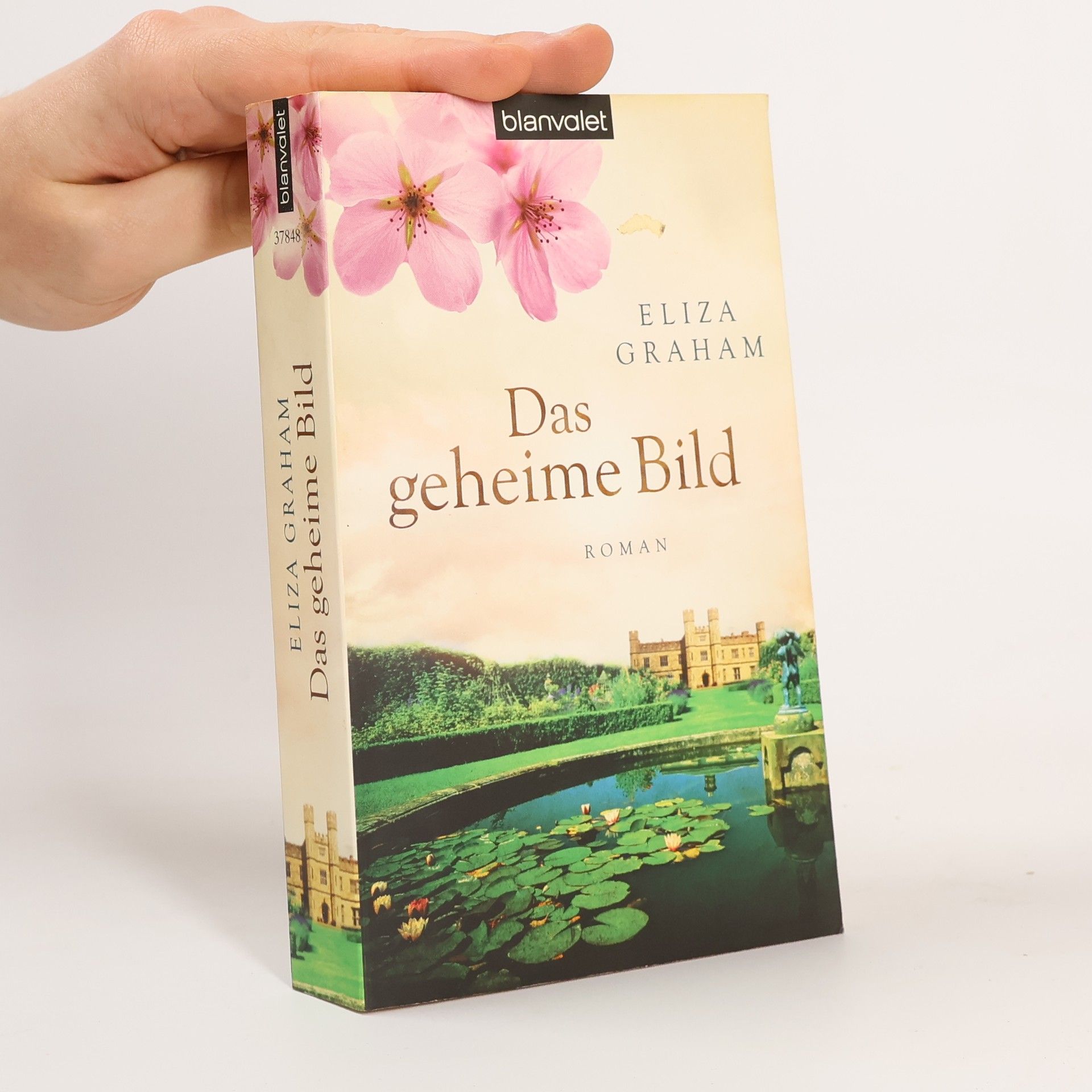 Eliza Graham Das geheime Bild