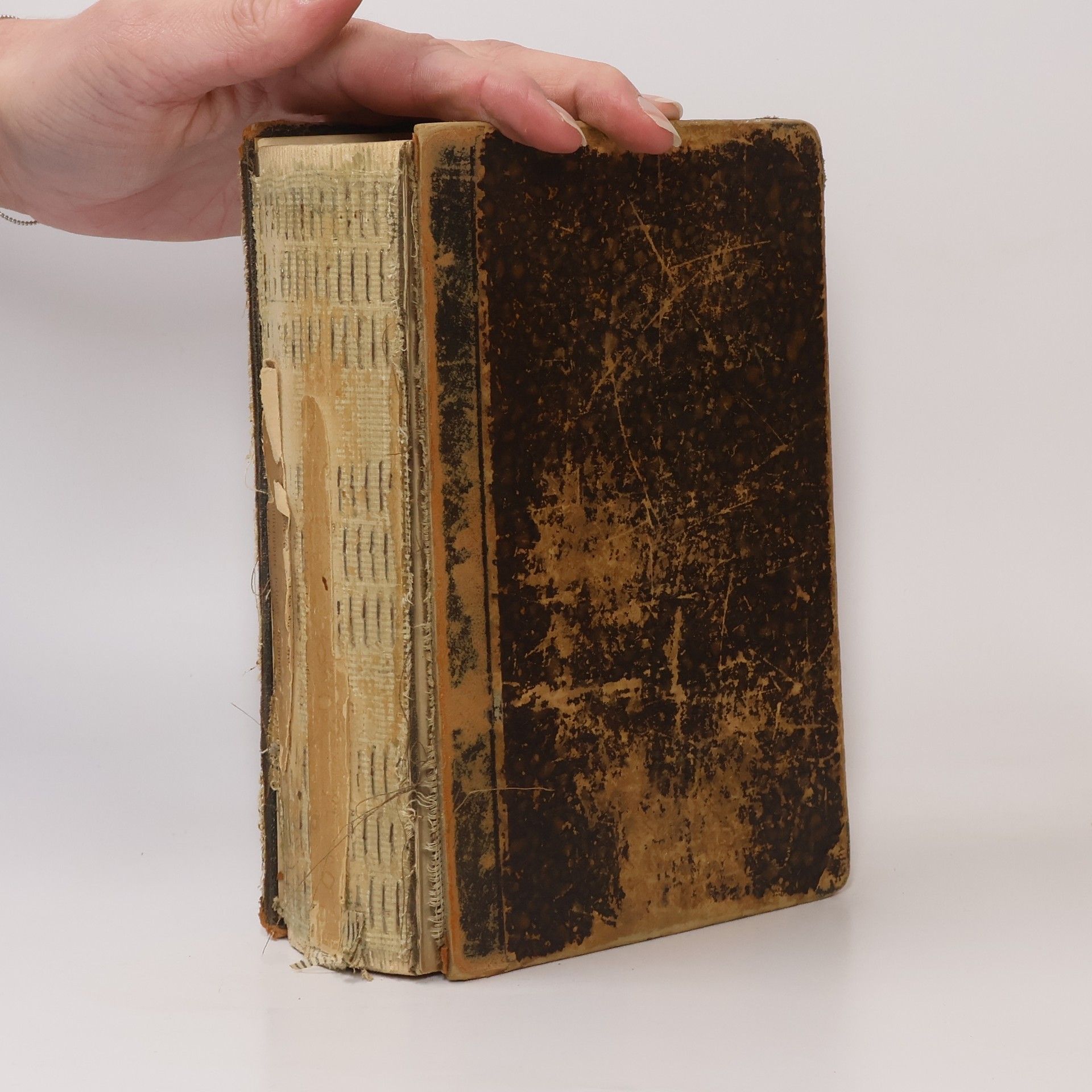 Wörterbuch der Englischen und Deutschen Sprache