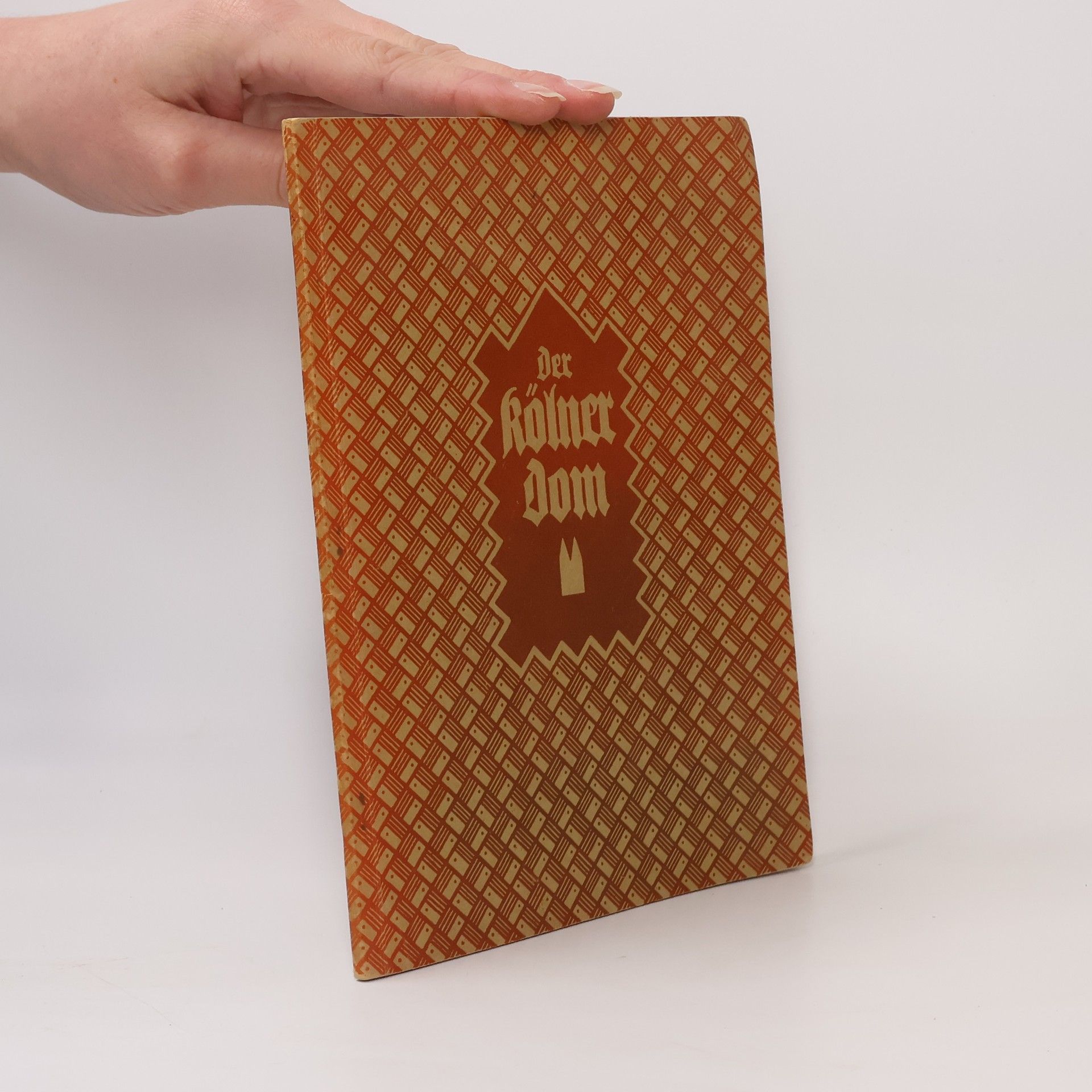 Wilhelm Pinder Der Kölner Dom in 32 Bilden