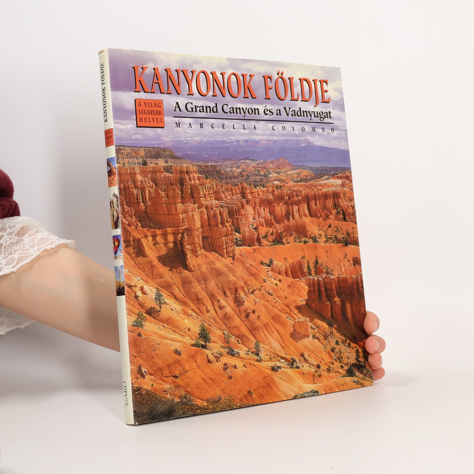 Tamás Magyarics Kanyonok földje