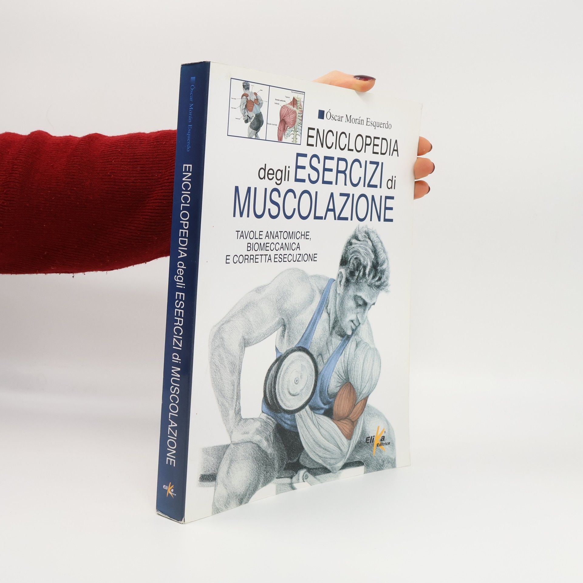 Óscar Morán Esquerdo Enciclopedia degli esercizi di muscolazione