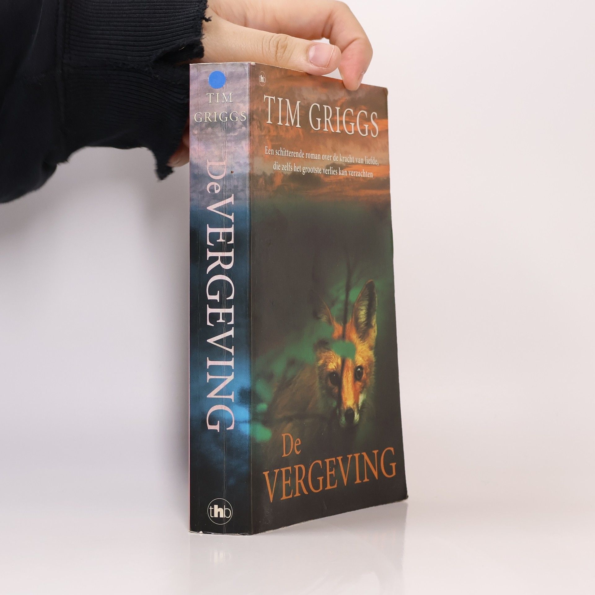 Tim Griggs De vergeving