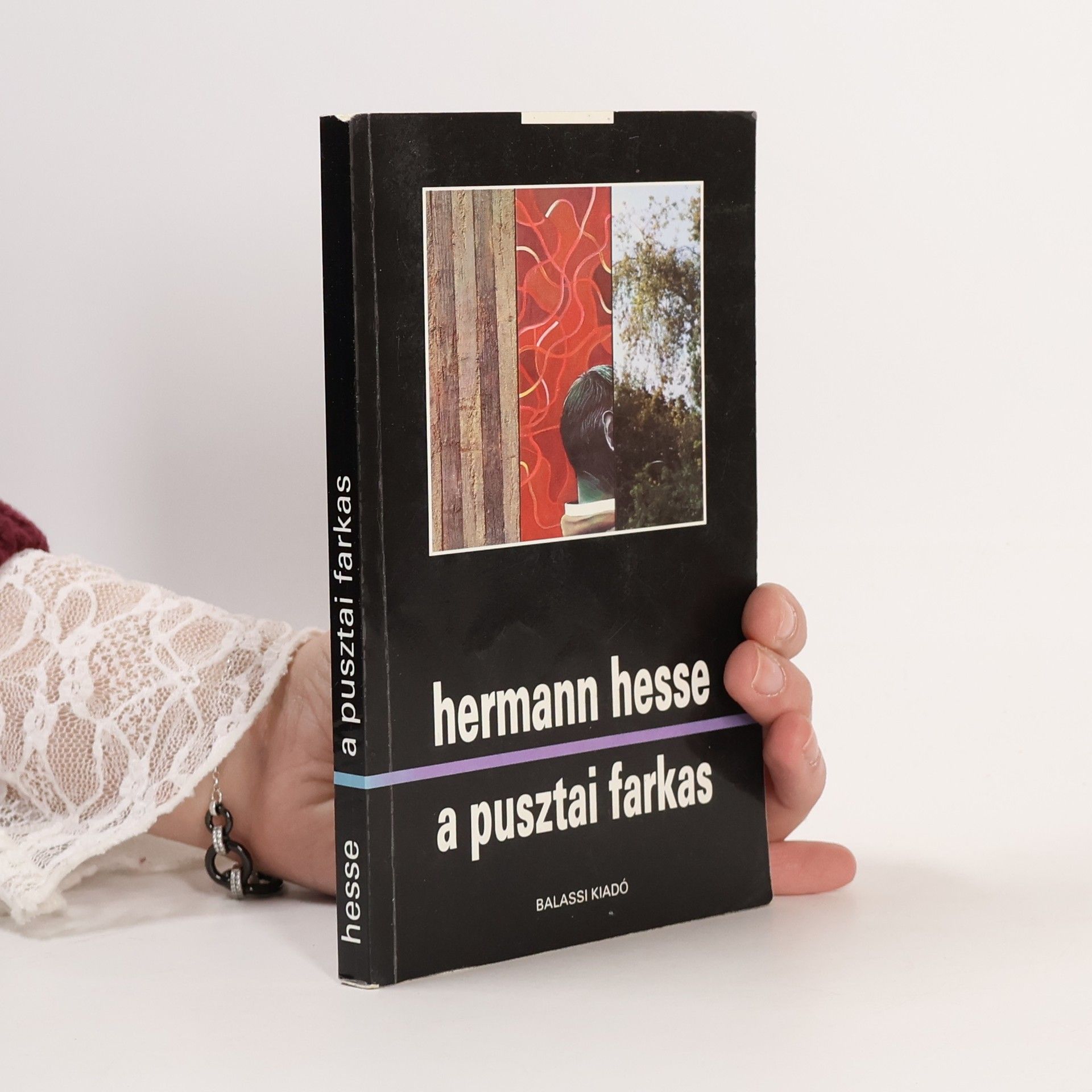 Hermann Hesse A pusztai farkas