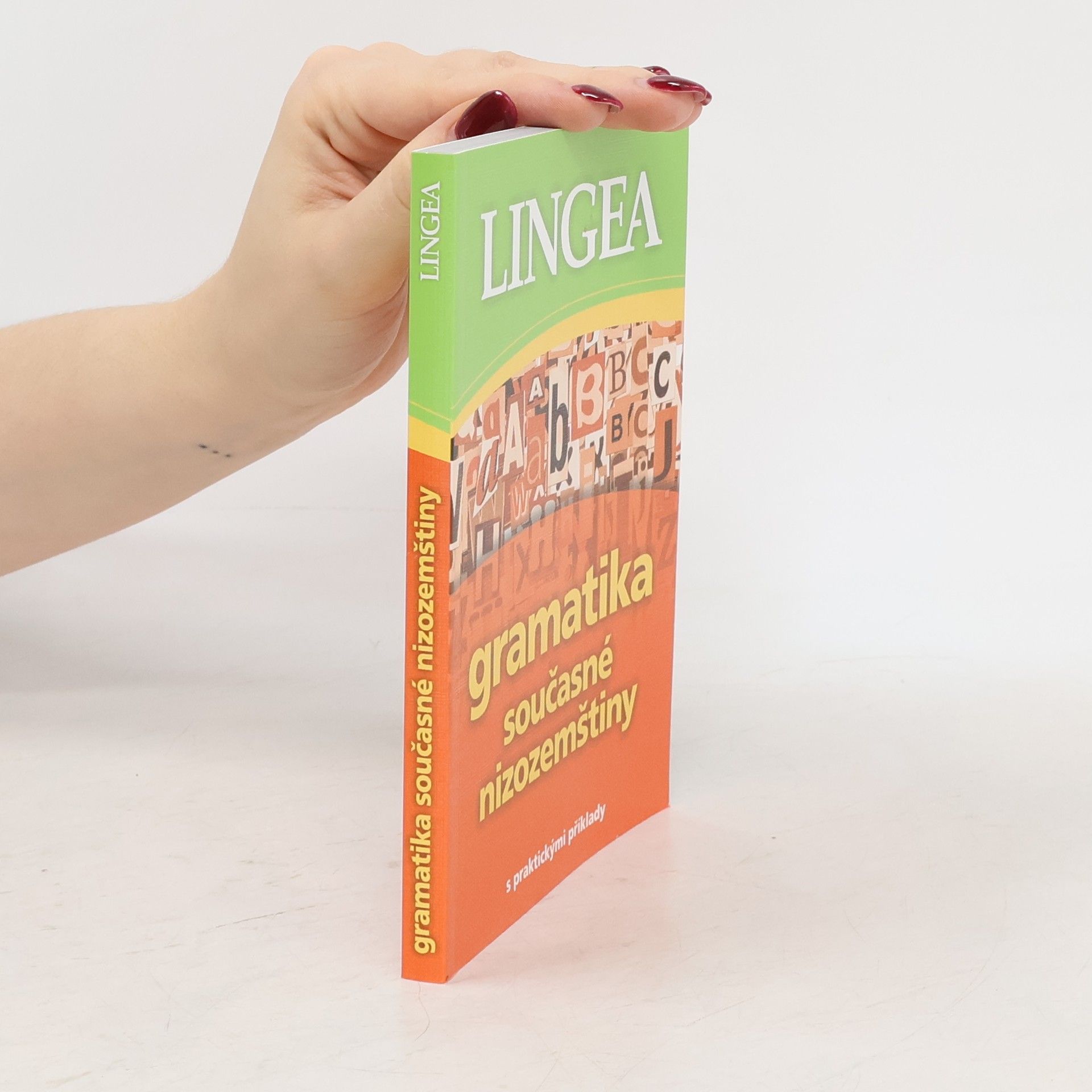 Autorenkollektiv Gramatika současné nizozemštiny