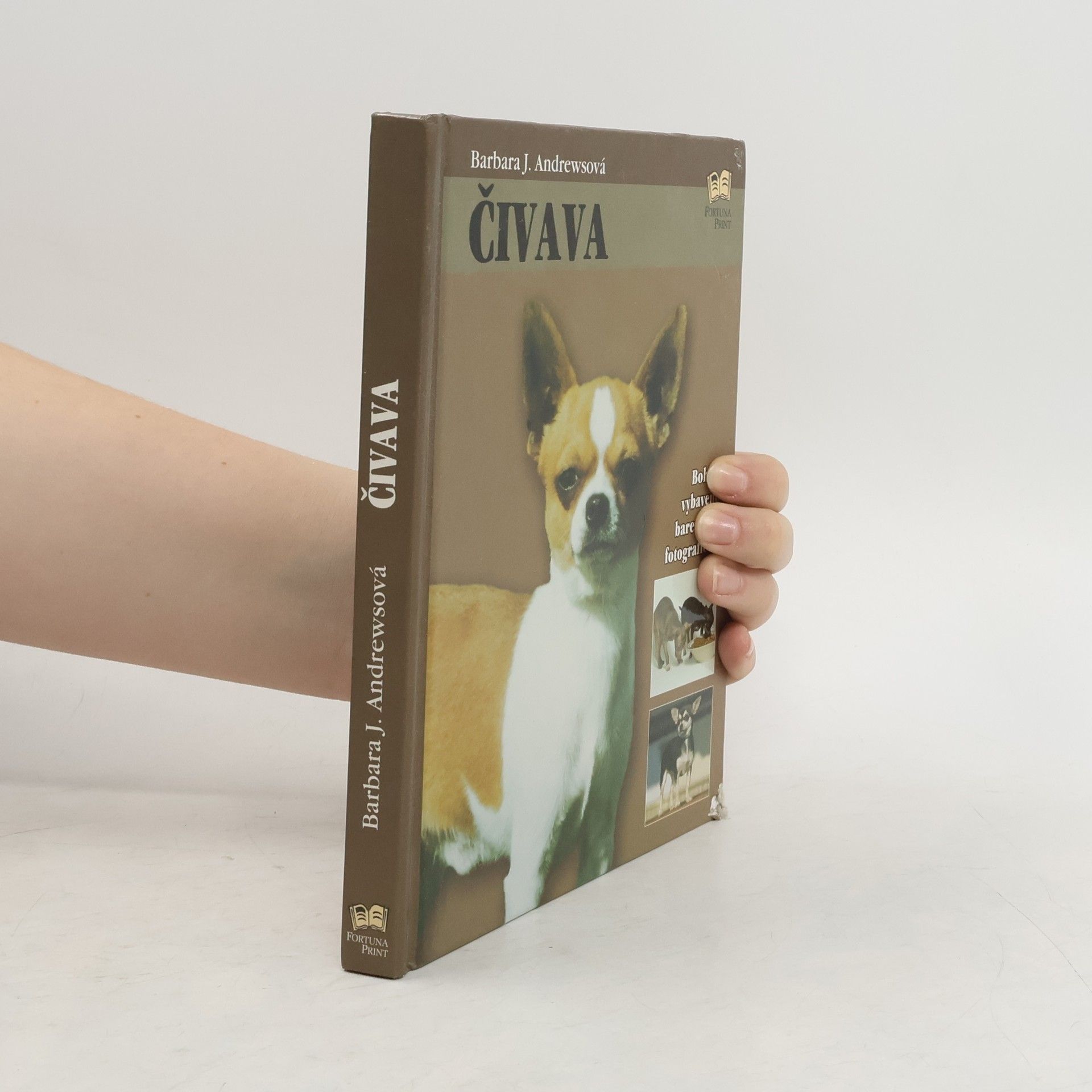 Barbara J. Andrews Čivava