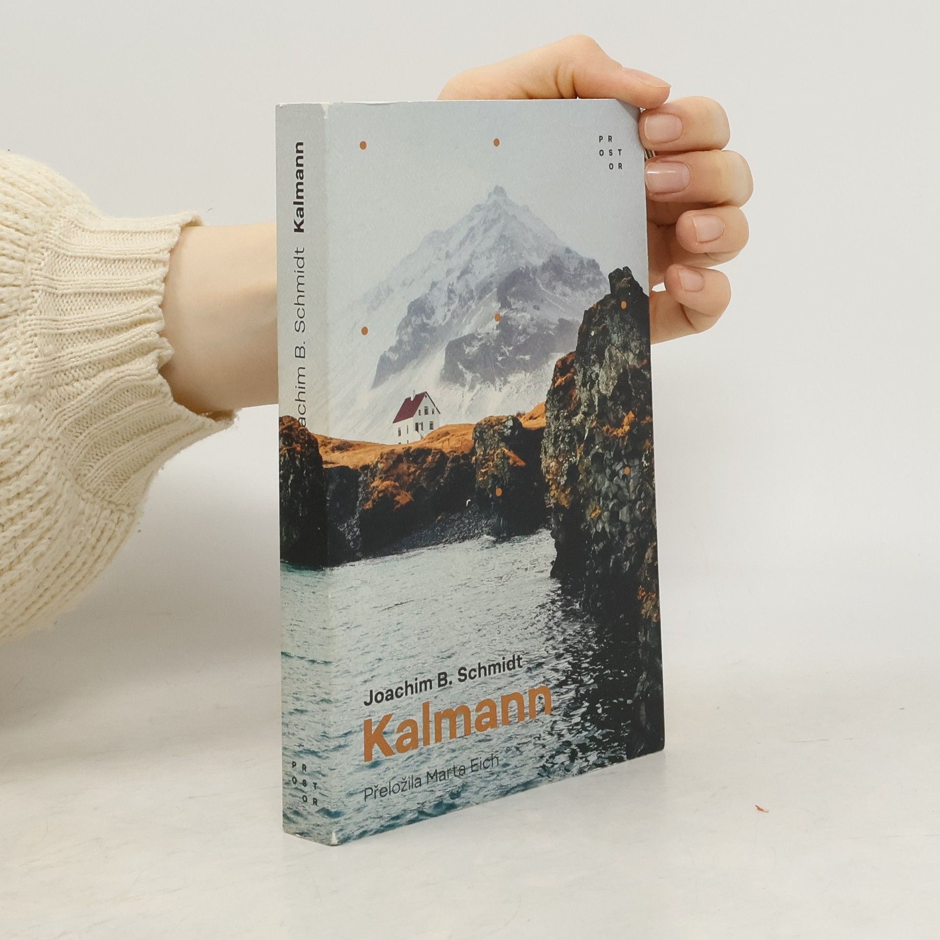 Joachim B. Schmidt Kalmann