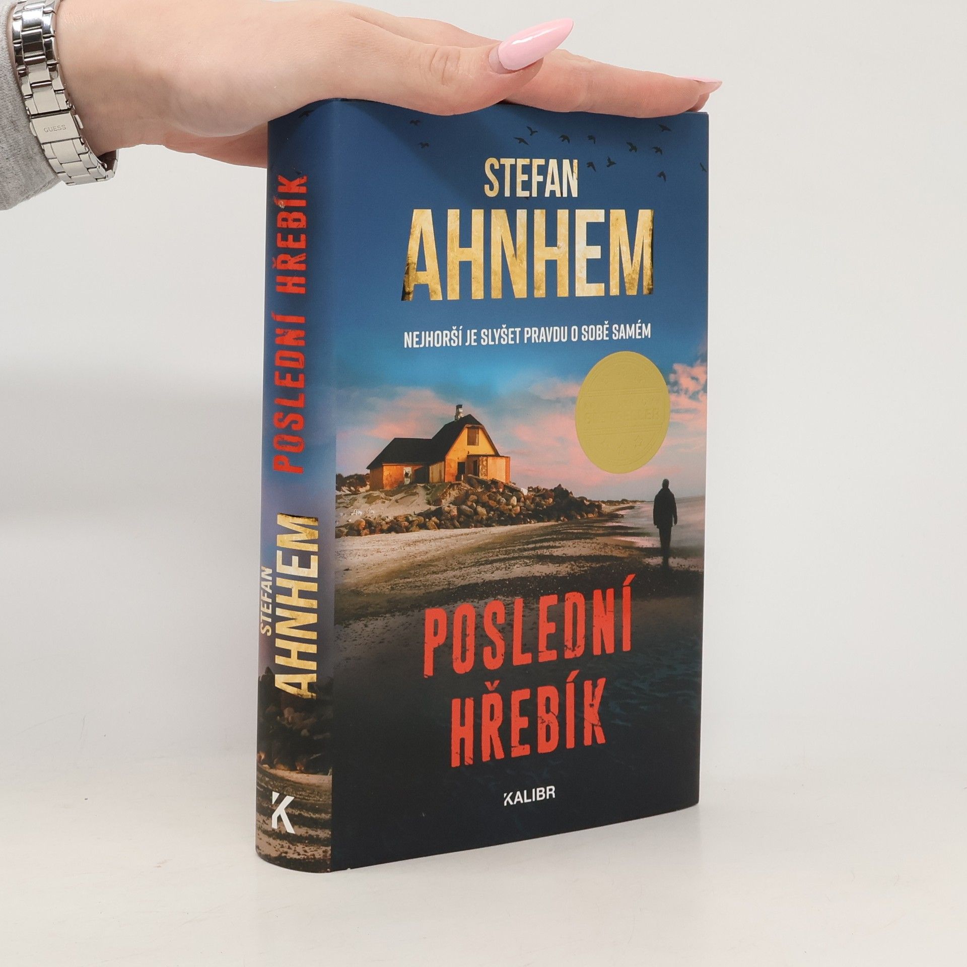 Stefan Ahnhem Poslední hřebík
