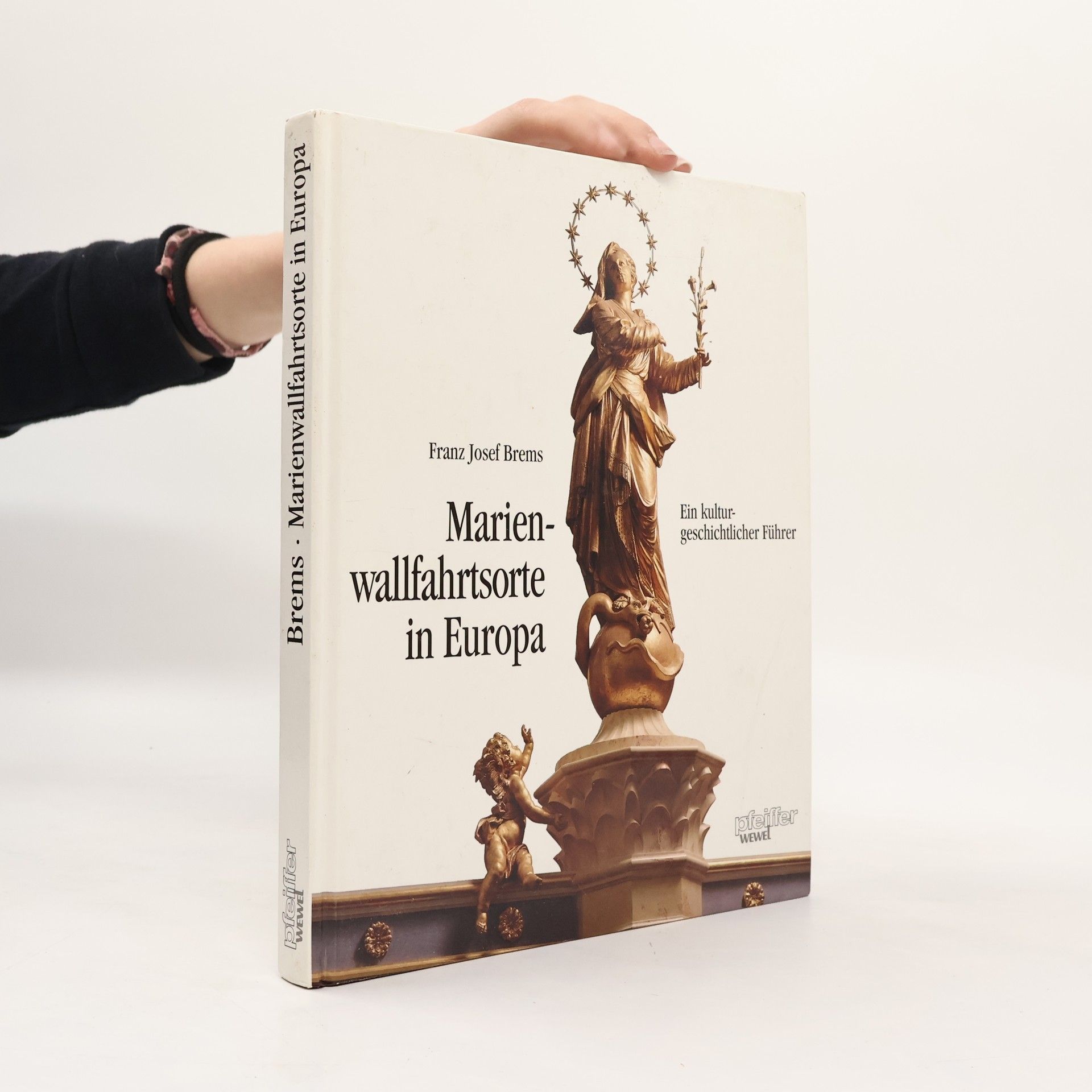 Franz Josef Brems Marienwallfahrtsorte in Europa. Kulturgeschichtlicher Führer zu 100 Gnadenstätten.