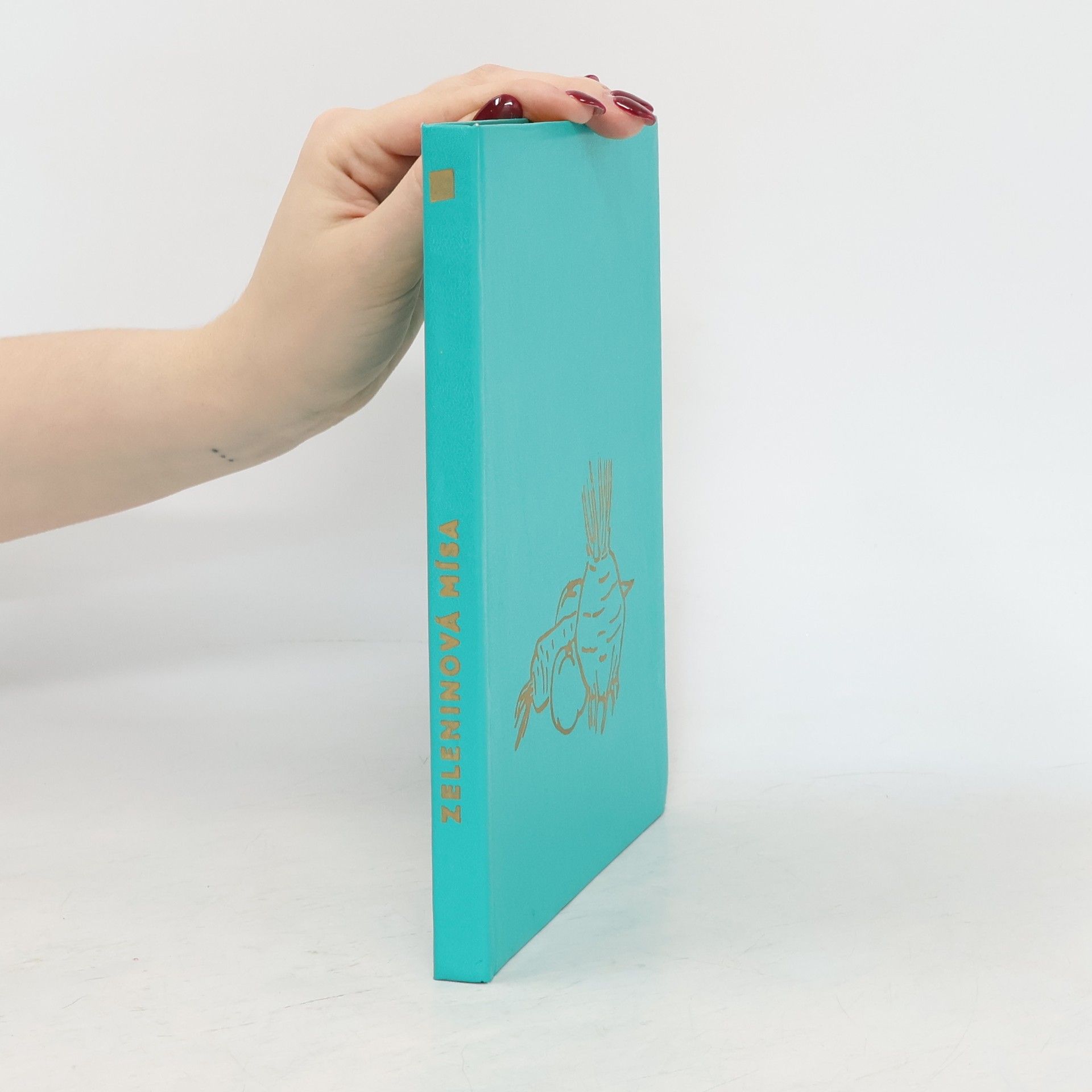 Autorenkollektiv Zeleninová mísa