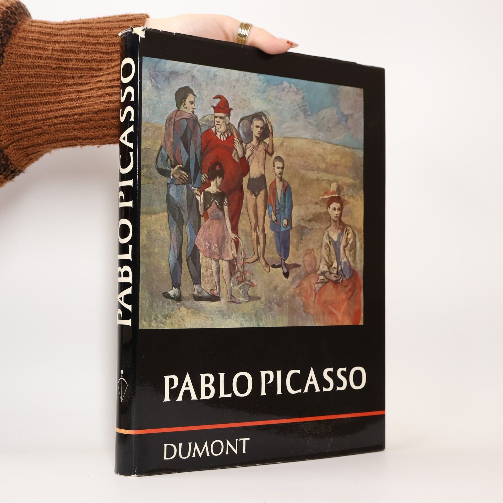 Autorenkollektiv Pablo Picasso