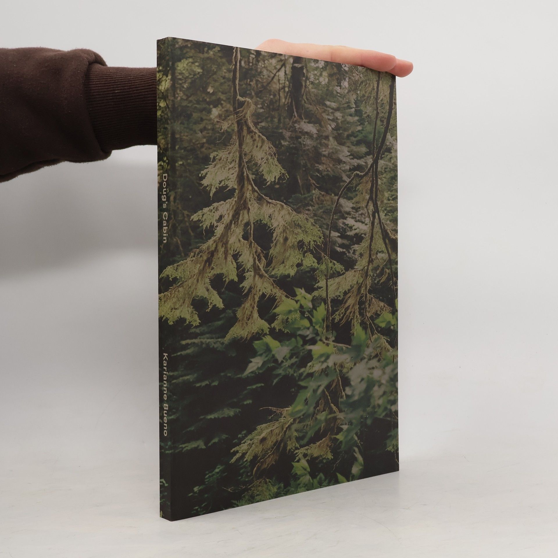 Karianne Bueno Doug's Cabin