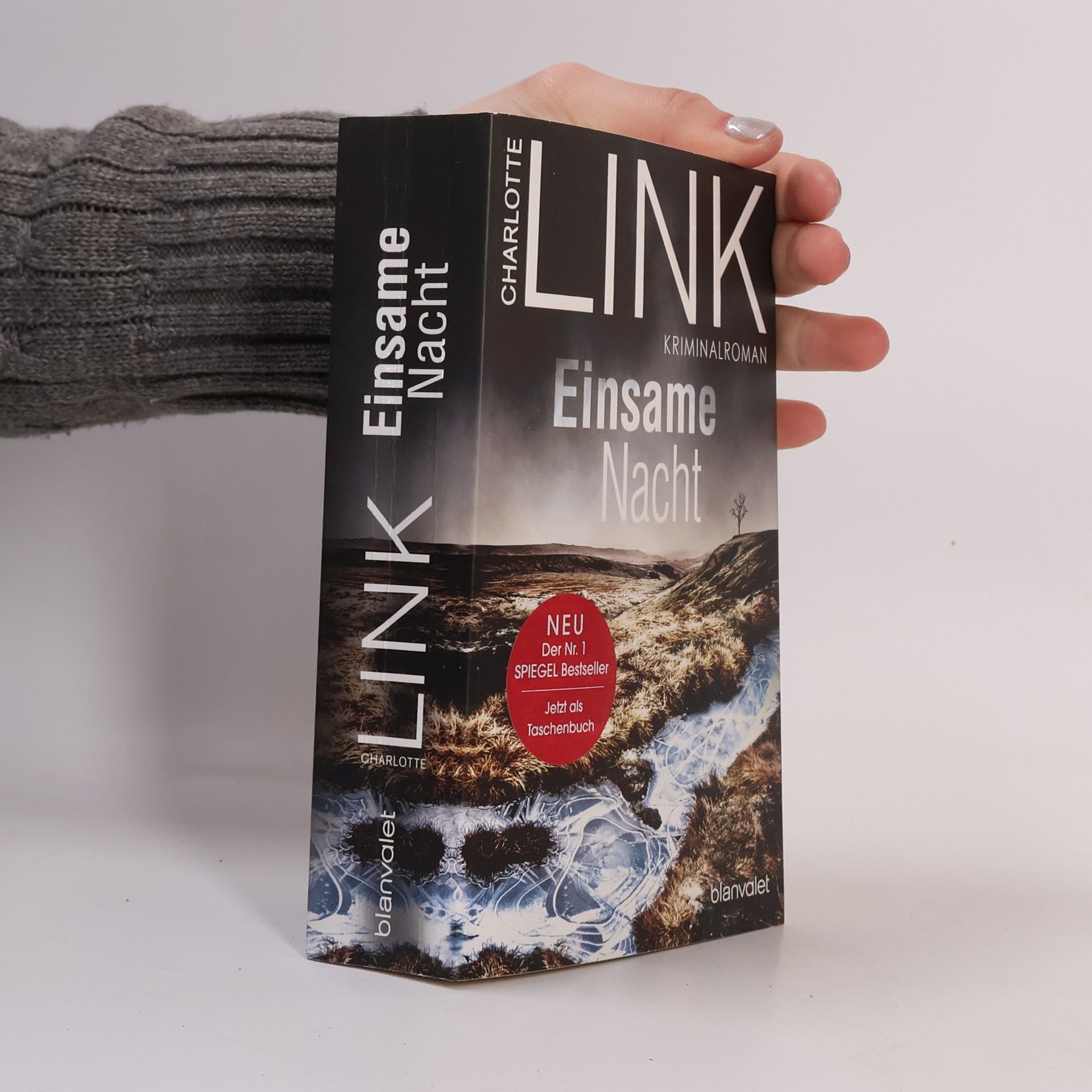 Charlotte Link Einsame Nacht