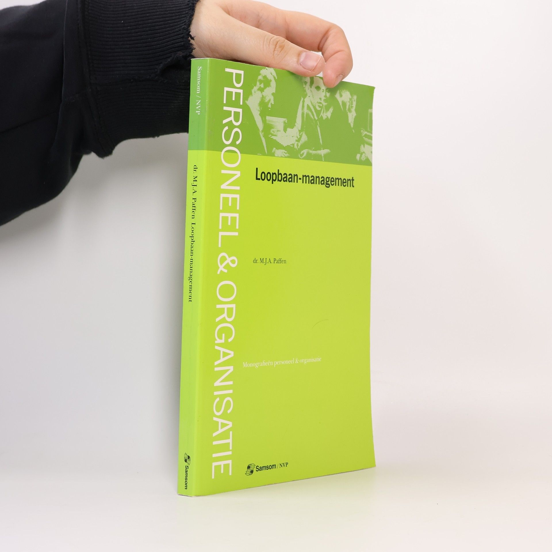 Martinus Johannes Anna Paffen Loopbaan-management