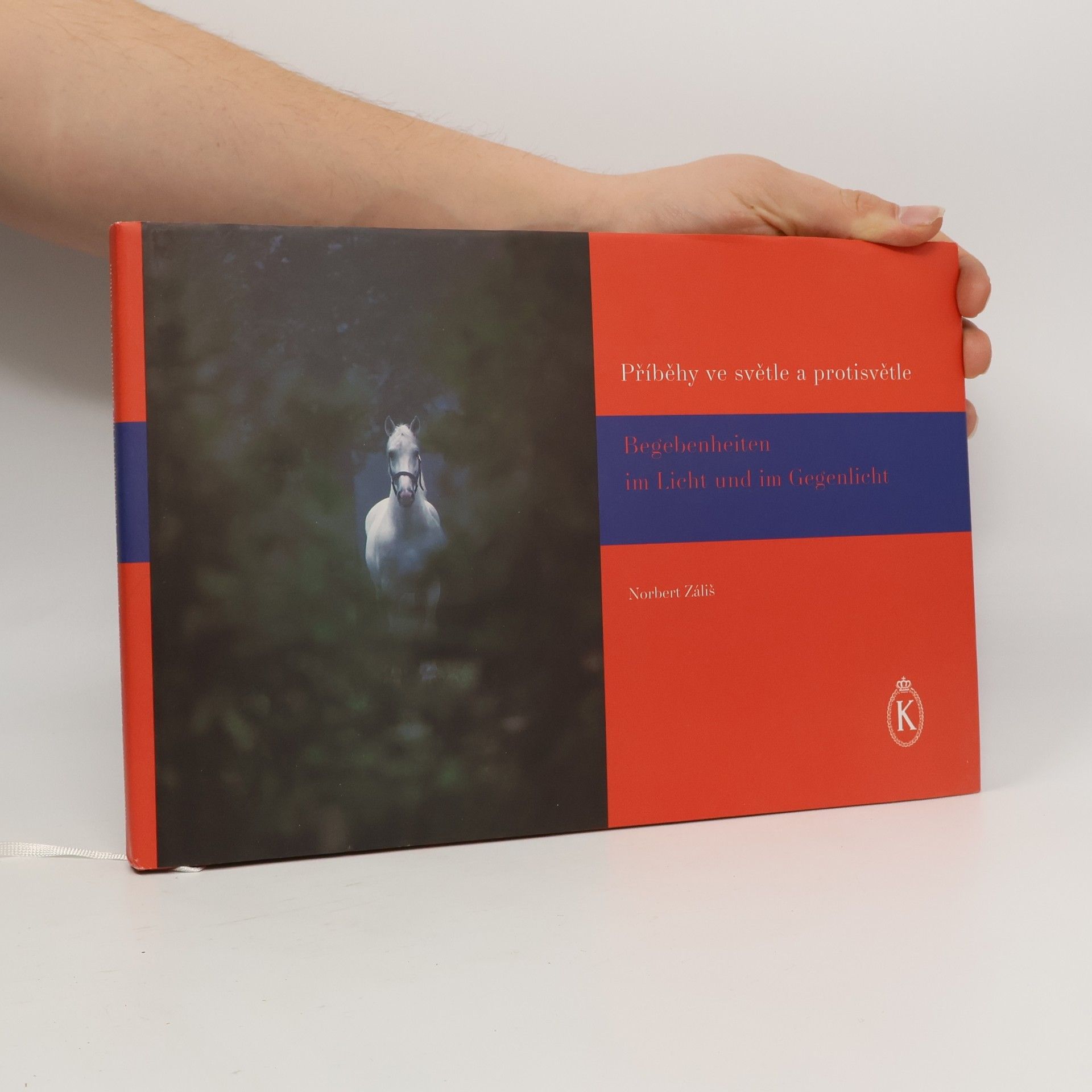Norbert Záliš Příběhy ve světle a protisvětle. Begegenheiten im Licht und im Gegenlicht