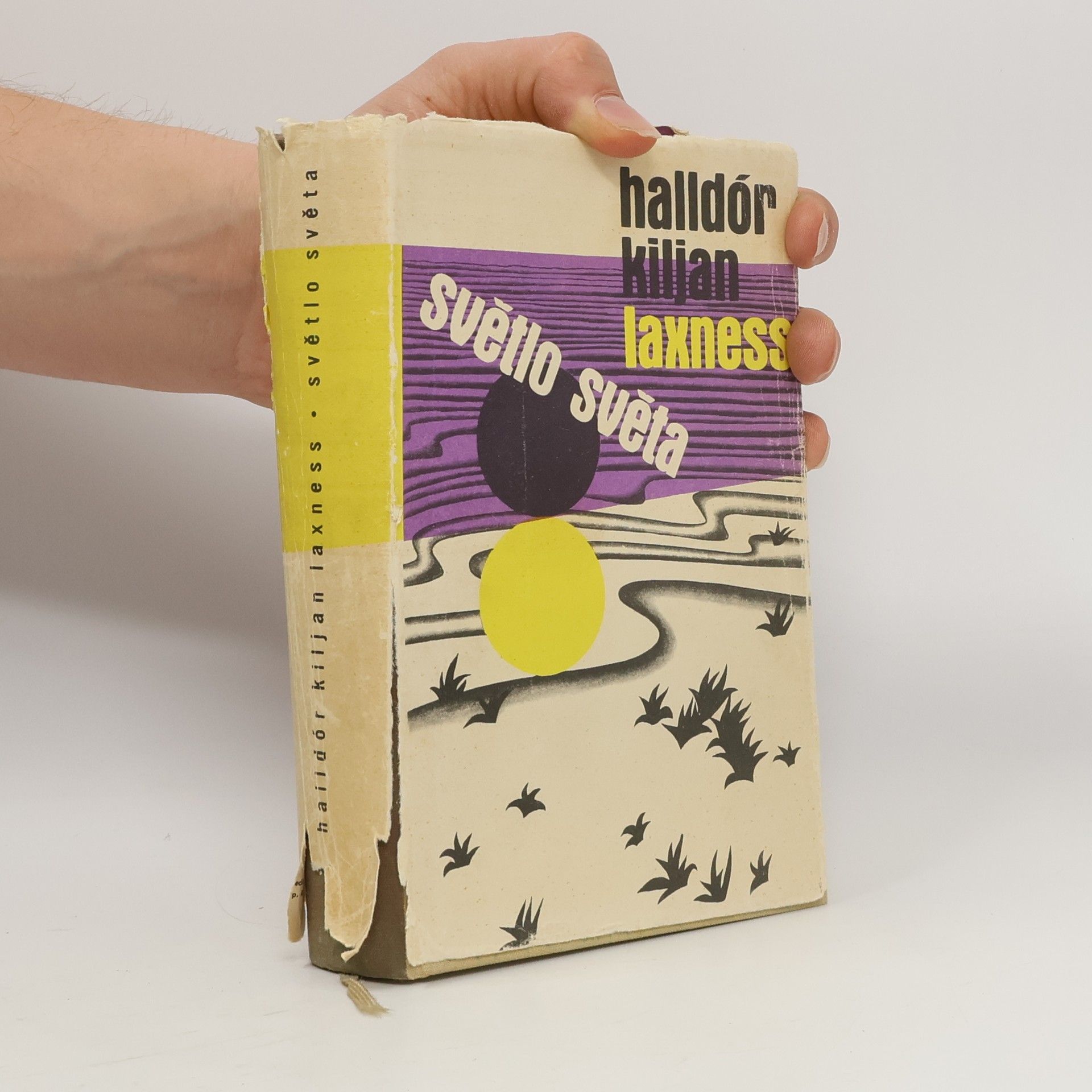 Jan Rak Světlo světa