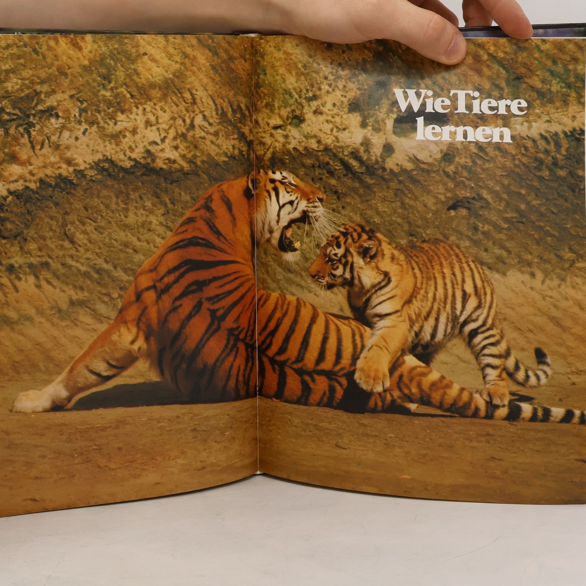 Collectif d'auteurs Alle Tiere dieser Welt