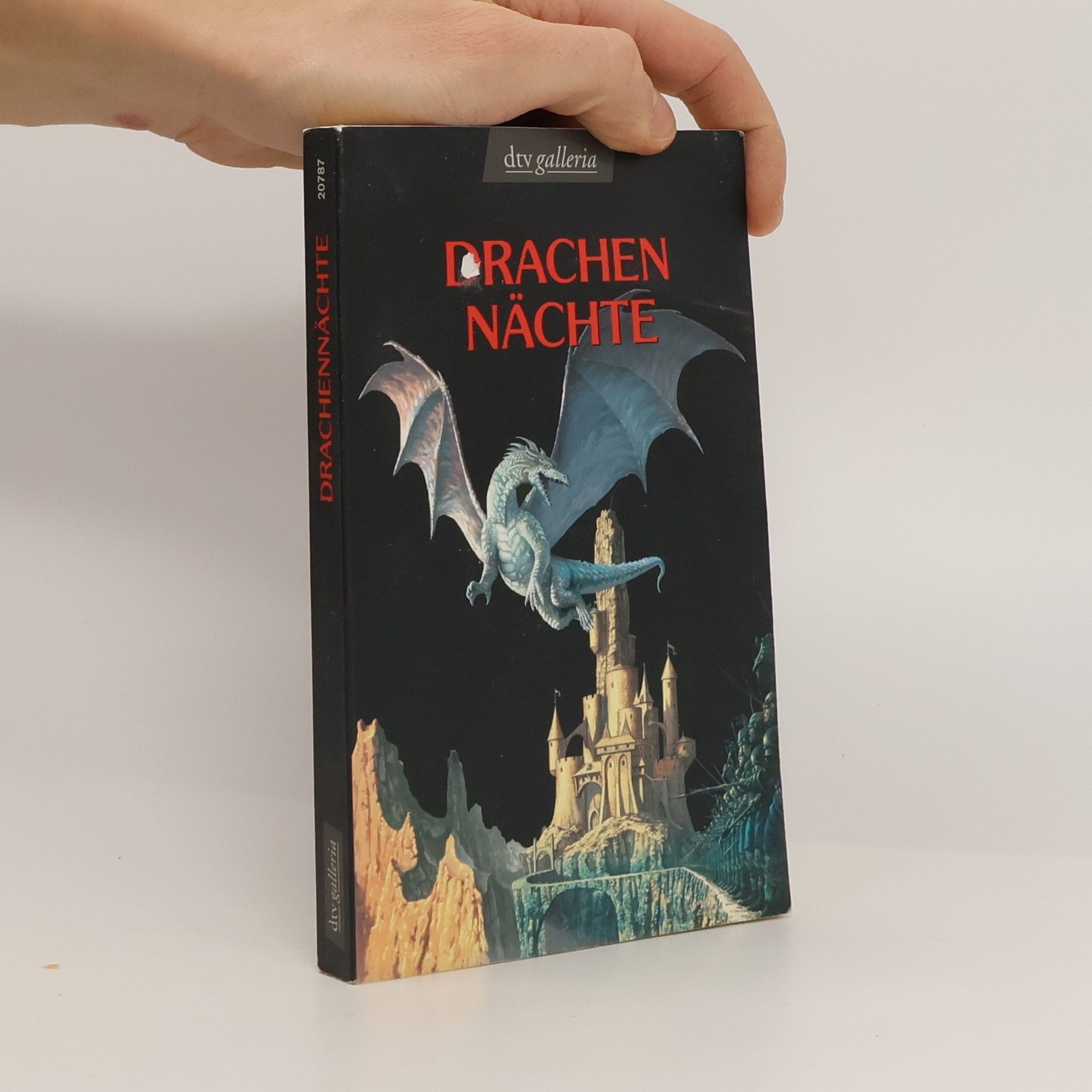 Roman Sander Drachennächte