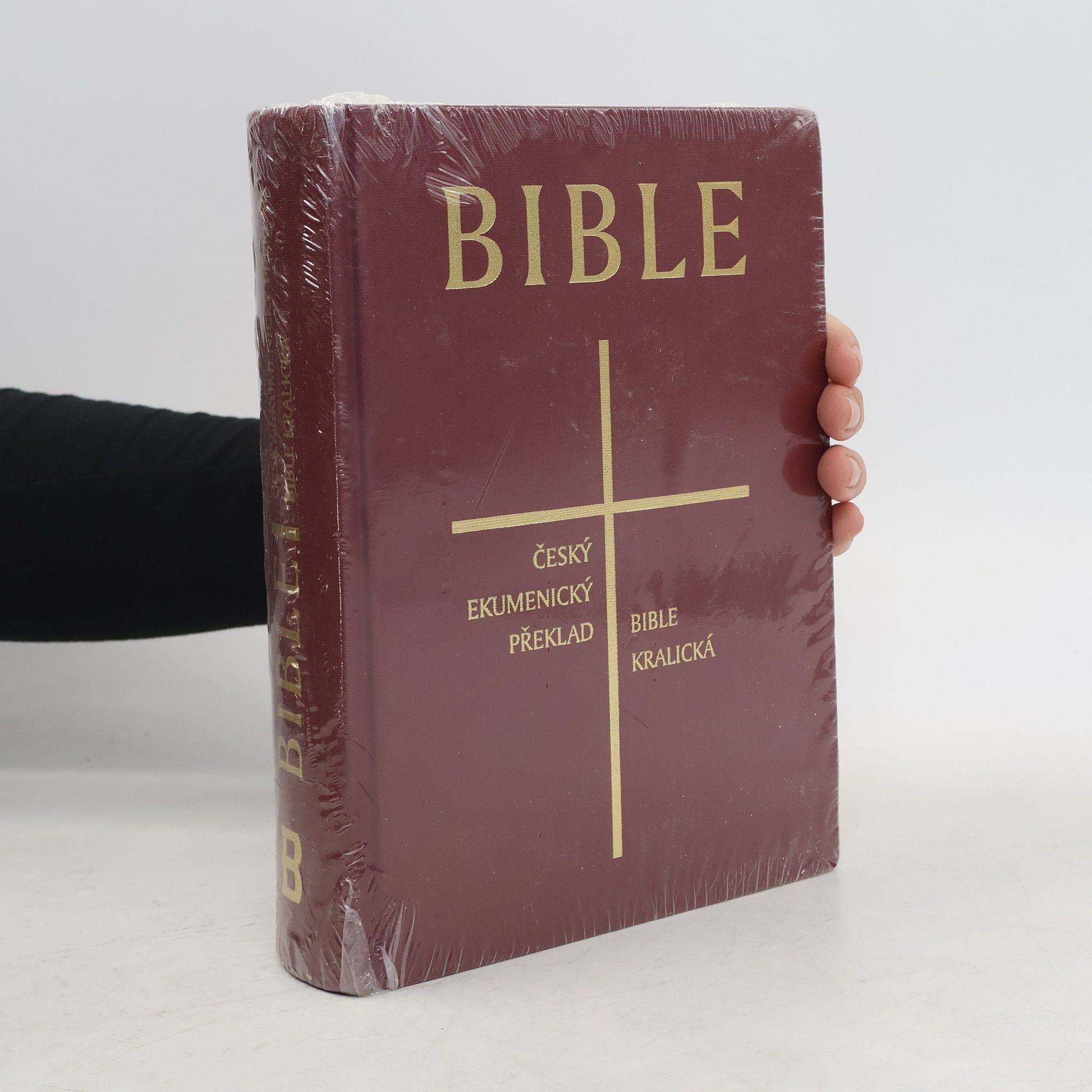 Bible : český ekumenický překlad