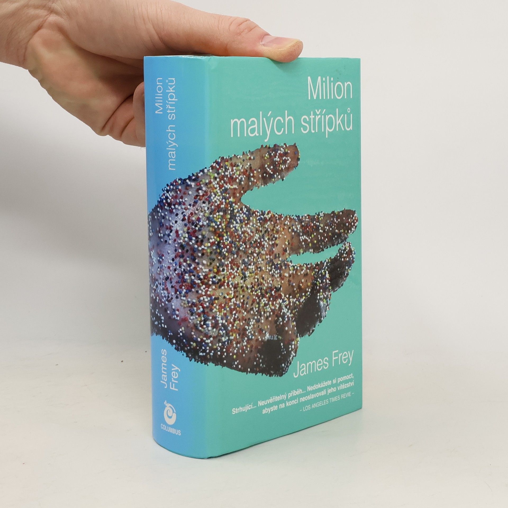 James Frey Milion malých střípků