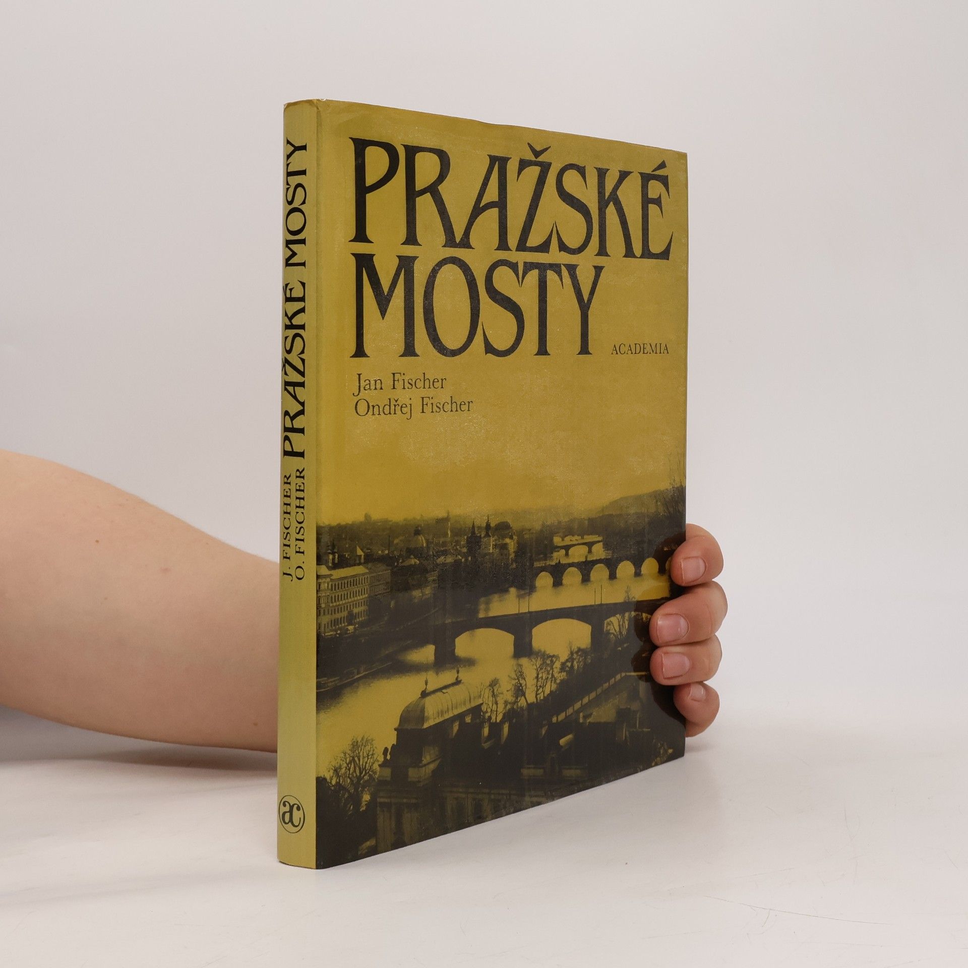 Jan Fischer Pražské mosty