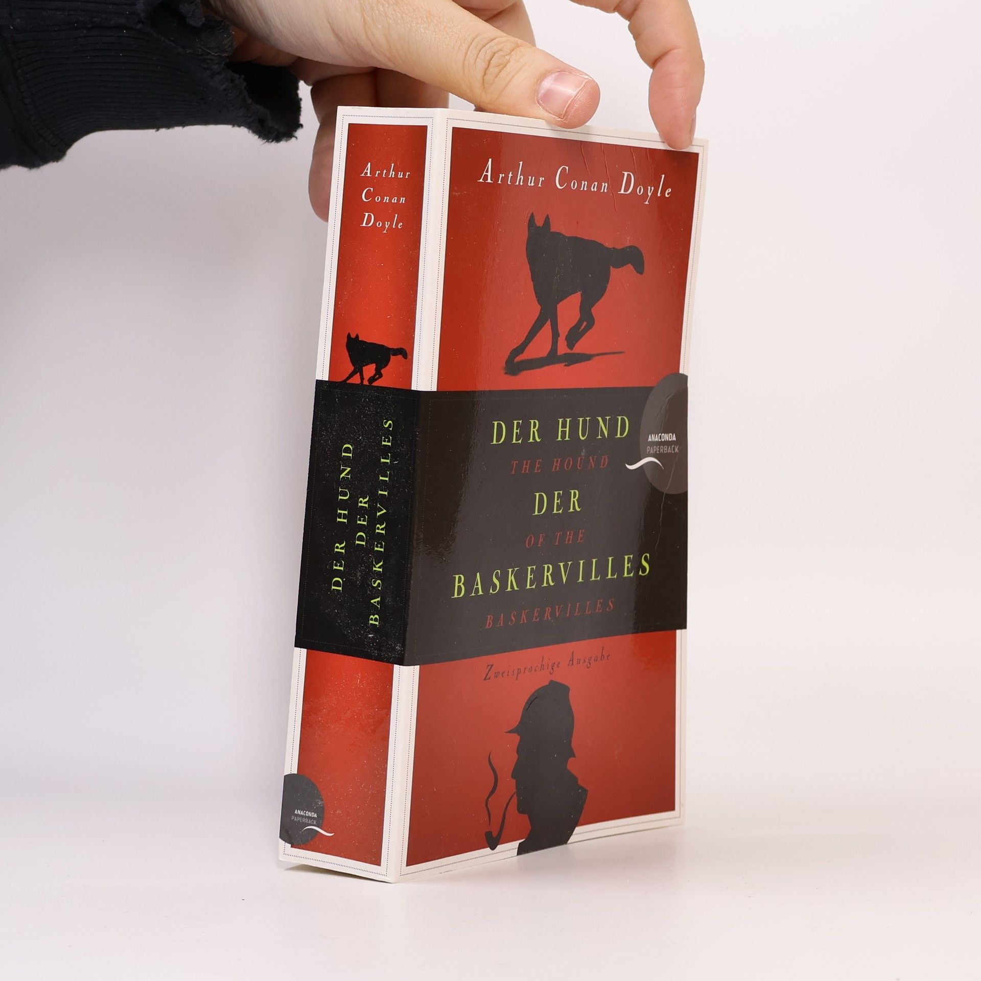 Arthur Conan Doyle Der Hund der Baskervilles