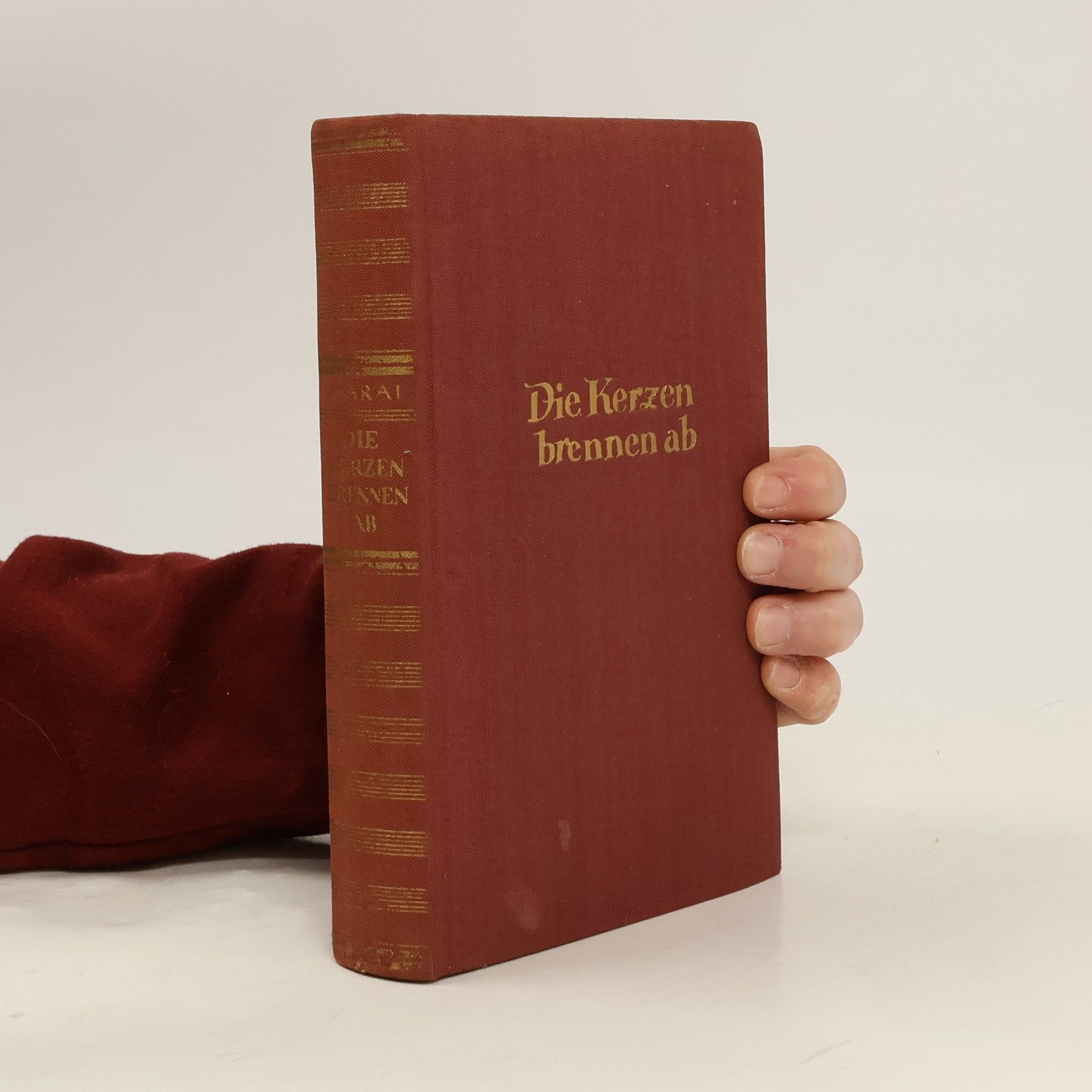 Alexander Márai Die Kerzen brennen ab