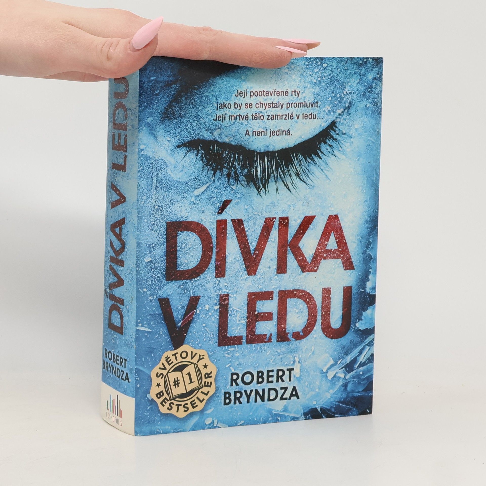 Robert Bryndza Dívka v ledu