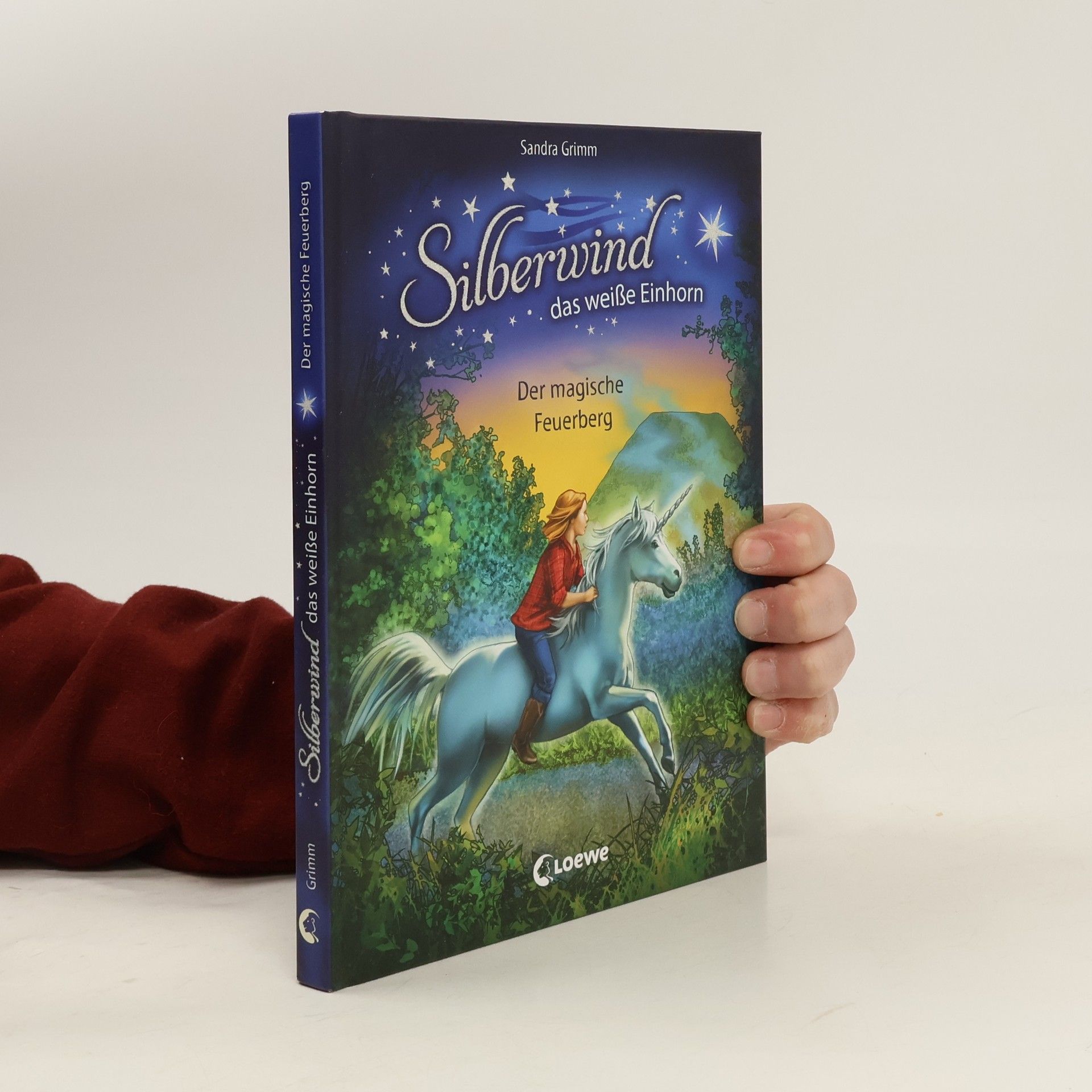 Sandra Grimm Der magische Feuerberg