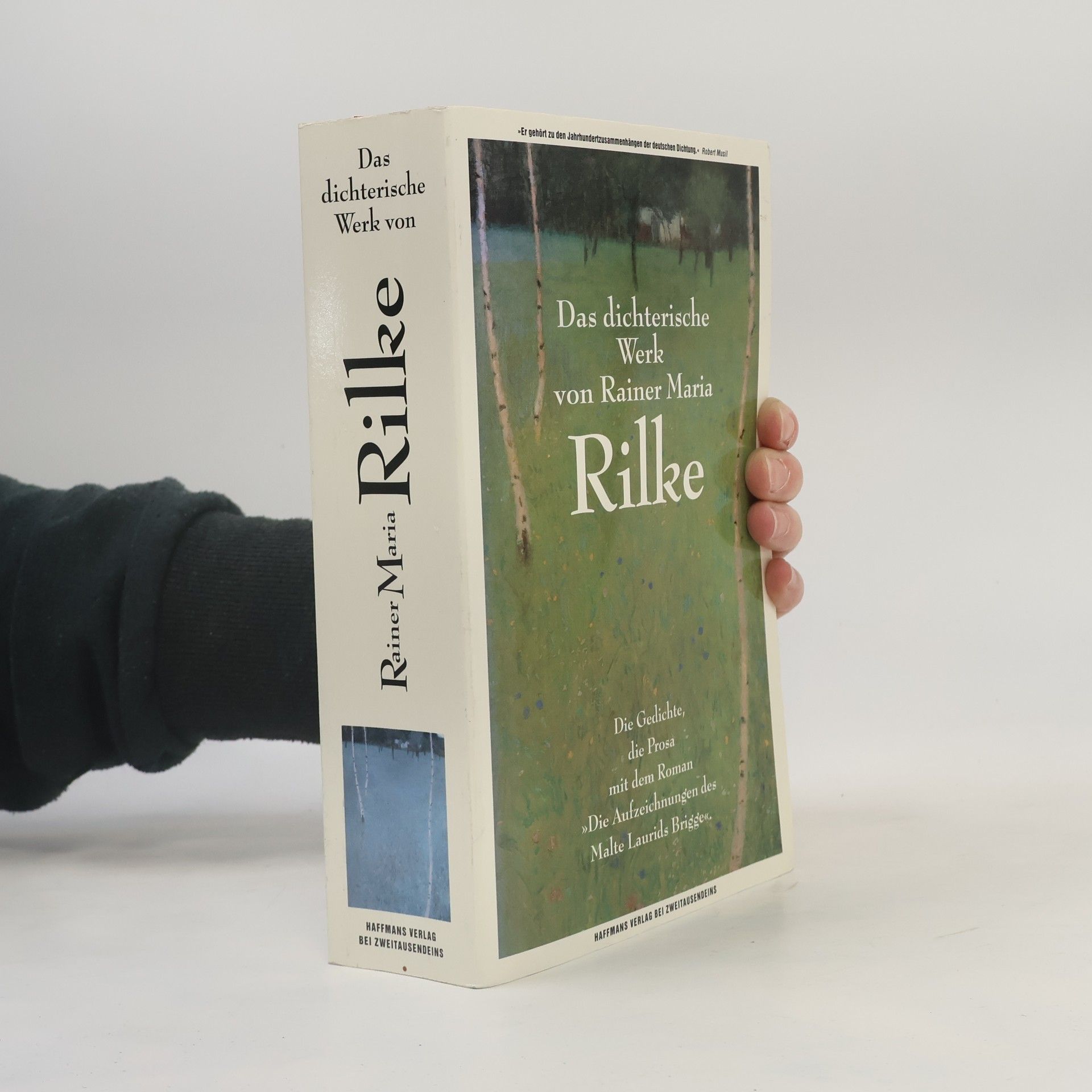 Rainer Maria Rilke Das dichterische Werk