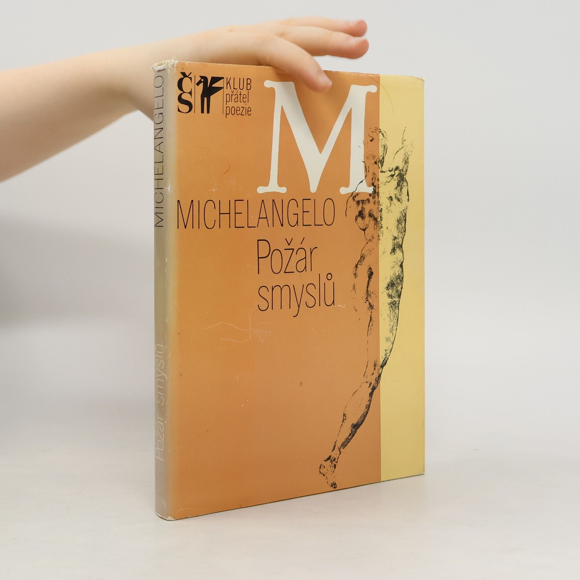 Michelangelo Buonarroti Požár smyslů