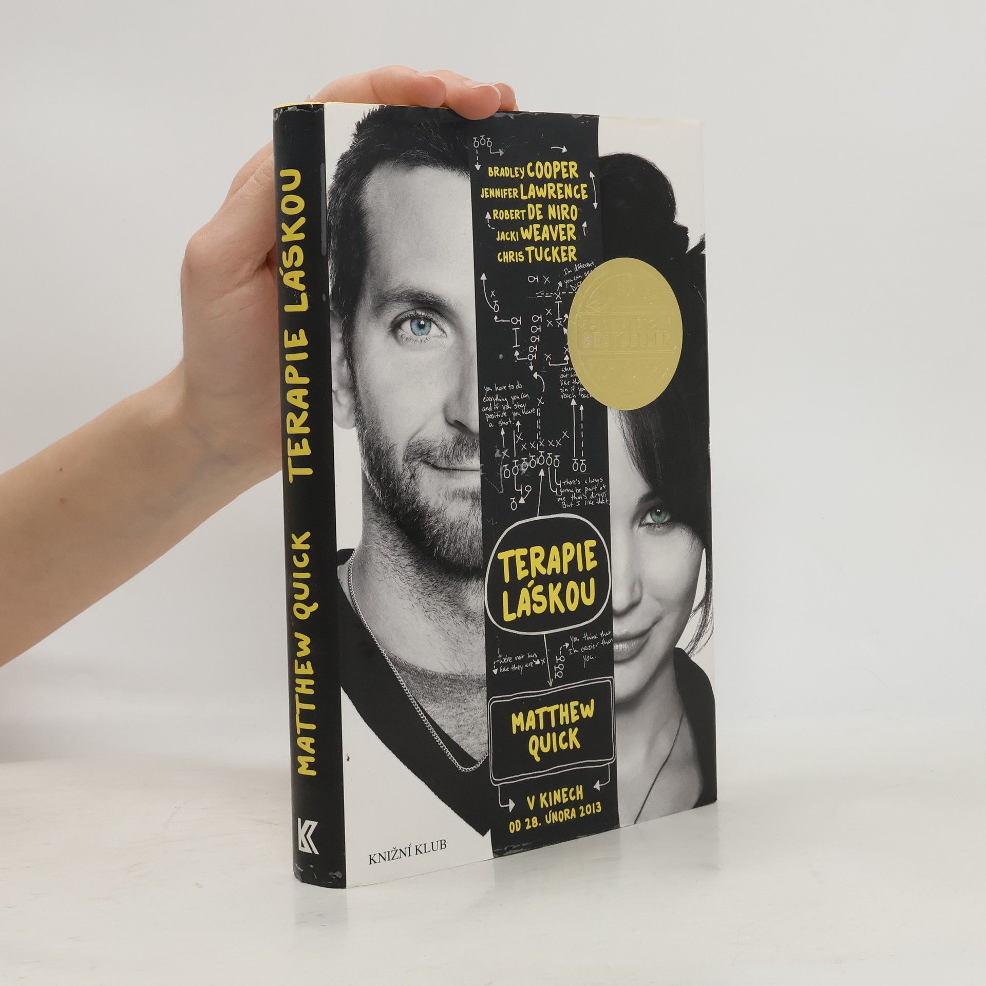 Matthew Quick Terapie láskou