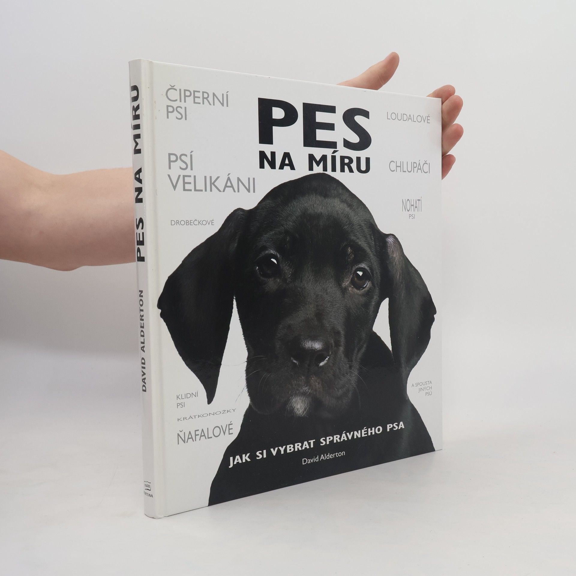 David Alderton Pes na míru. Jak si vybrat správného psa.