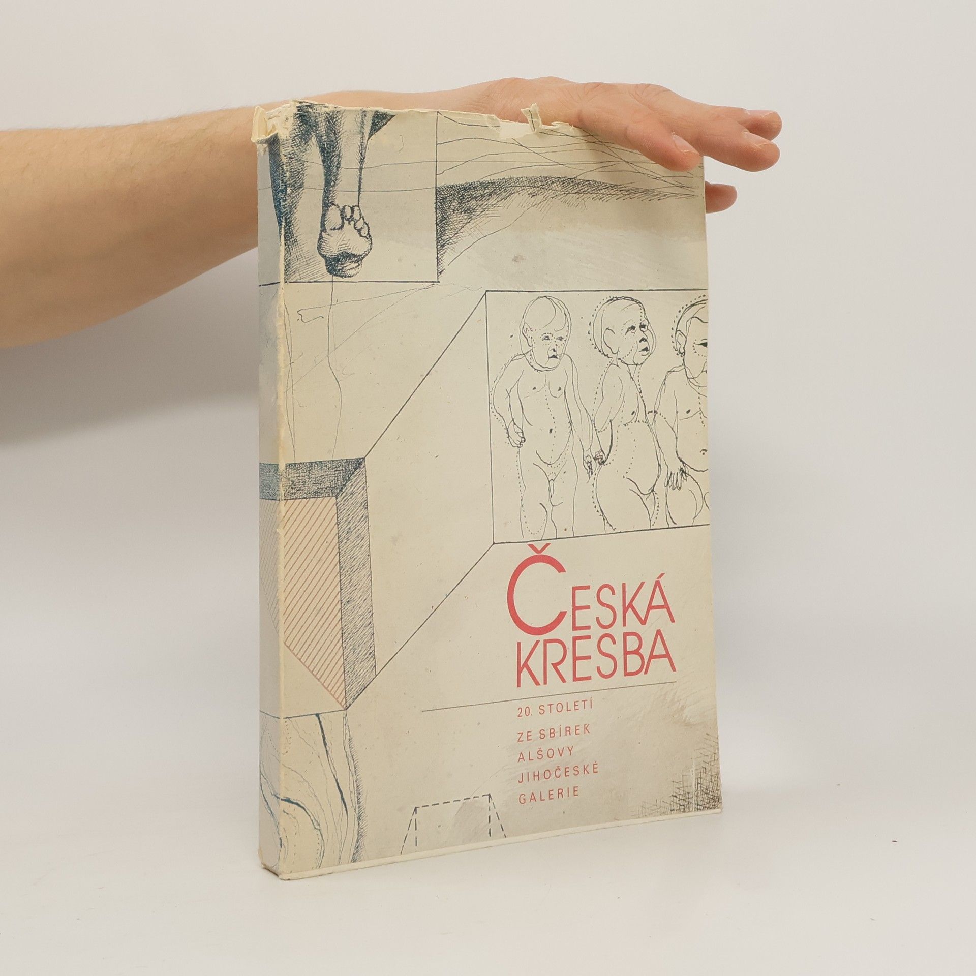 Autorenkollektiv Česká kresba 20. století. Ze sbírek Alšovy jihočeské galerie